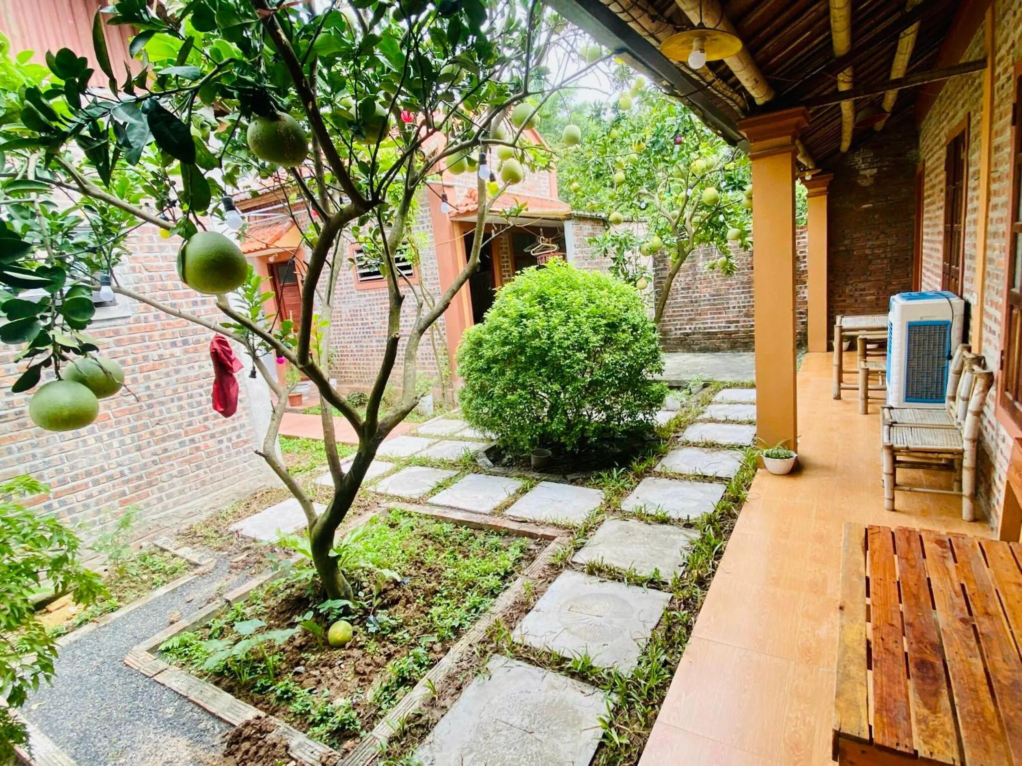 Garden in Tam Coc Mountain View Homestay