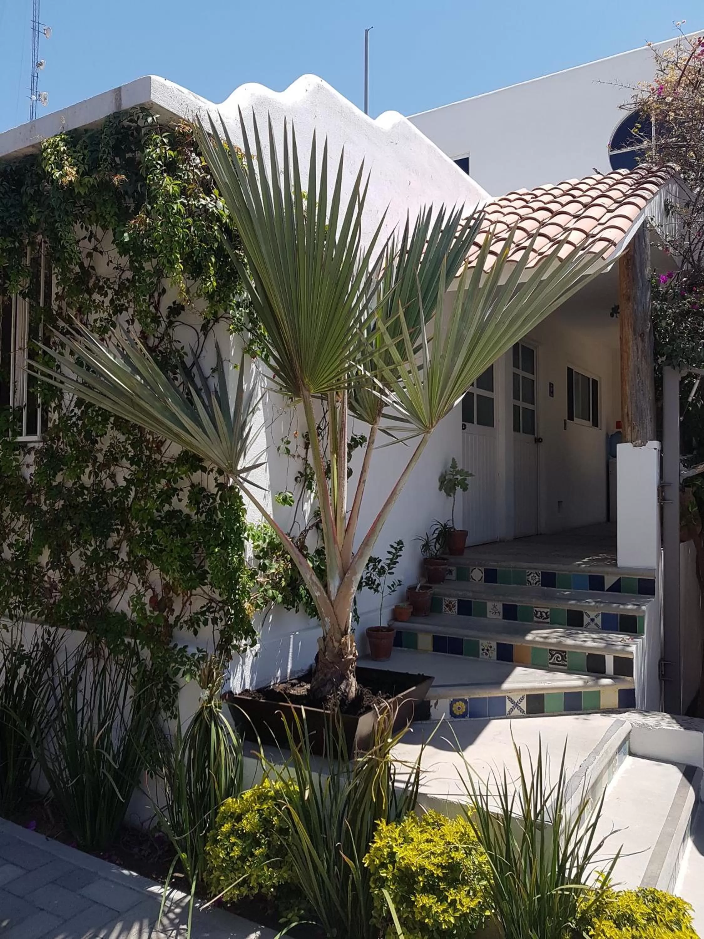 Balcony/Terrace in Los Milagros Hotel