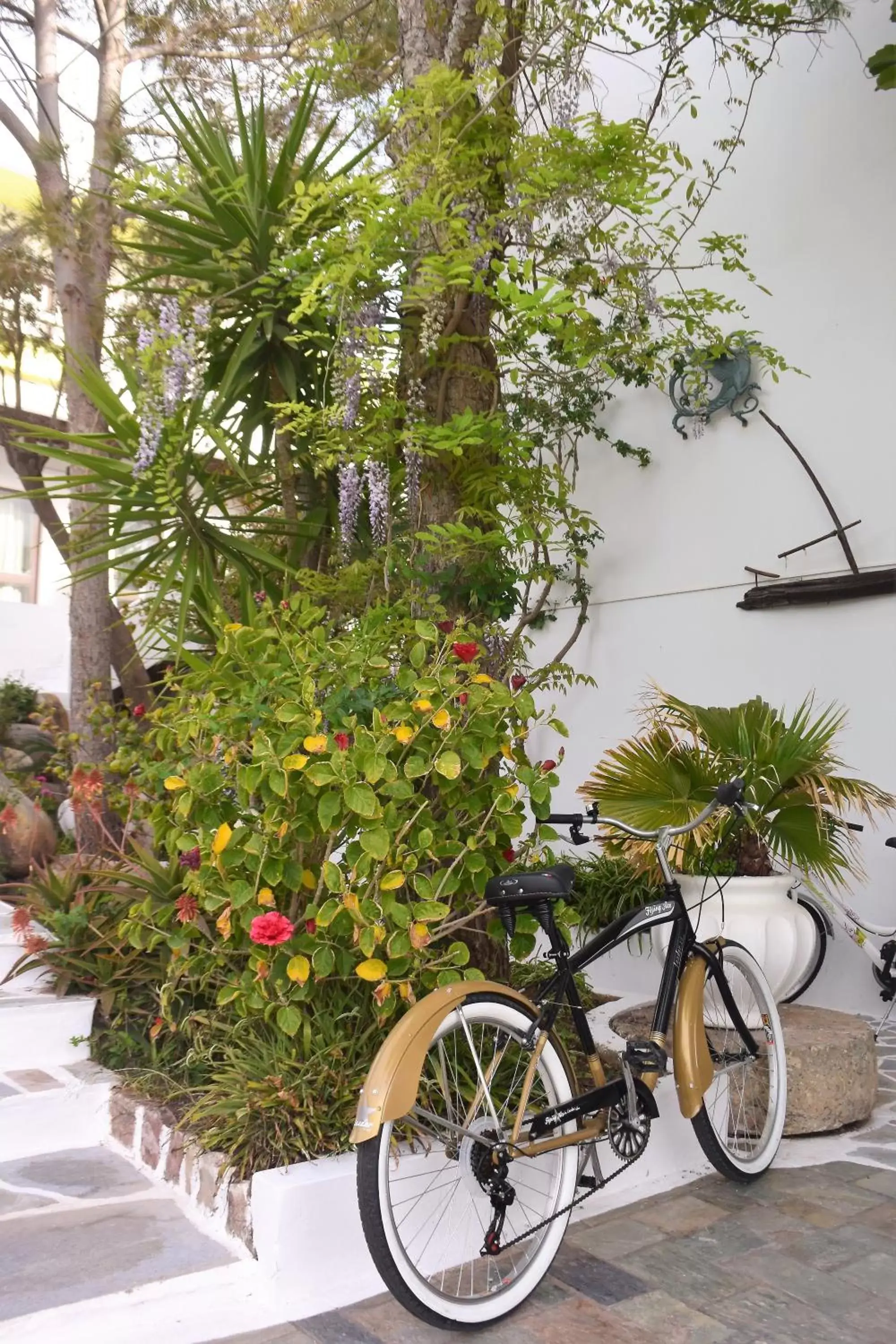 Cycling in Aris Boutique Hotel
