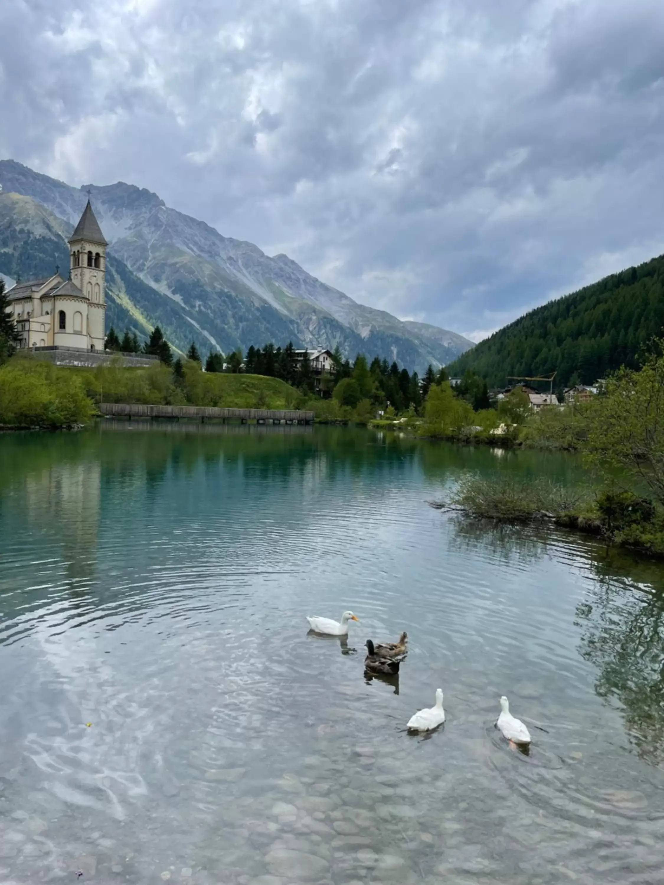 Natural landscape in Hotel Bambi Am Park