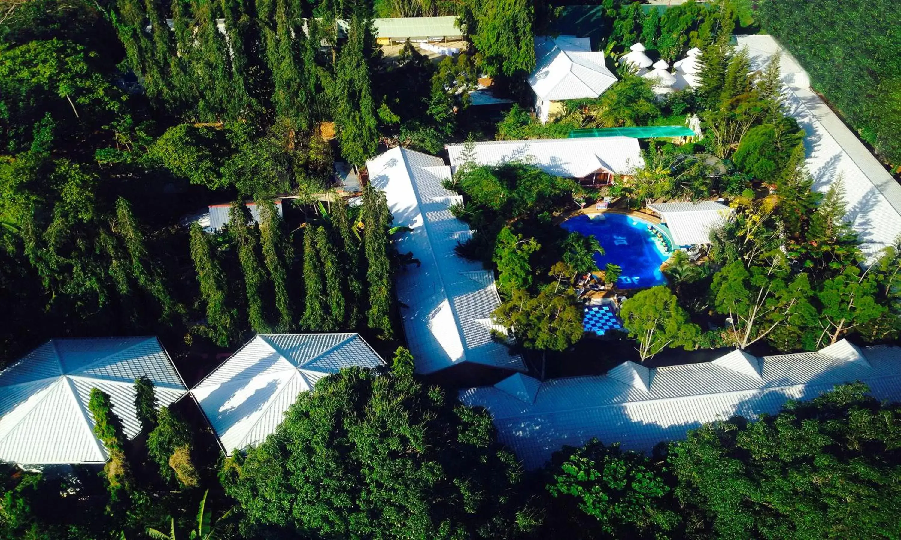 Bird's eye view, Bird's-eye View in Deep Forest Garden Hotel