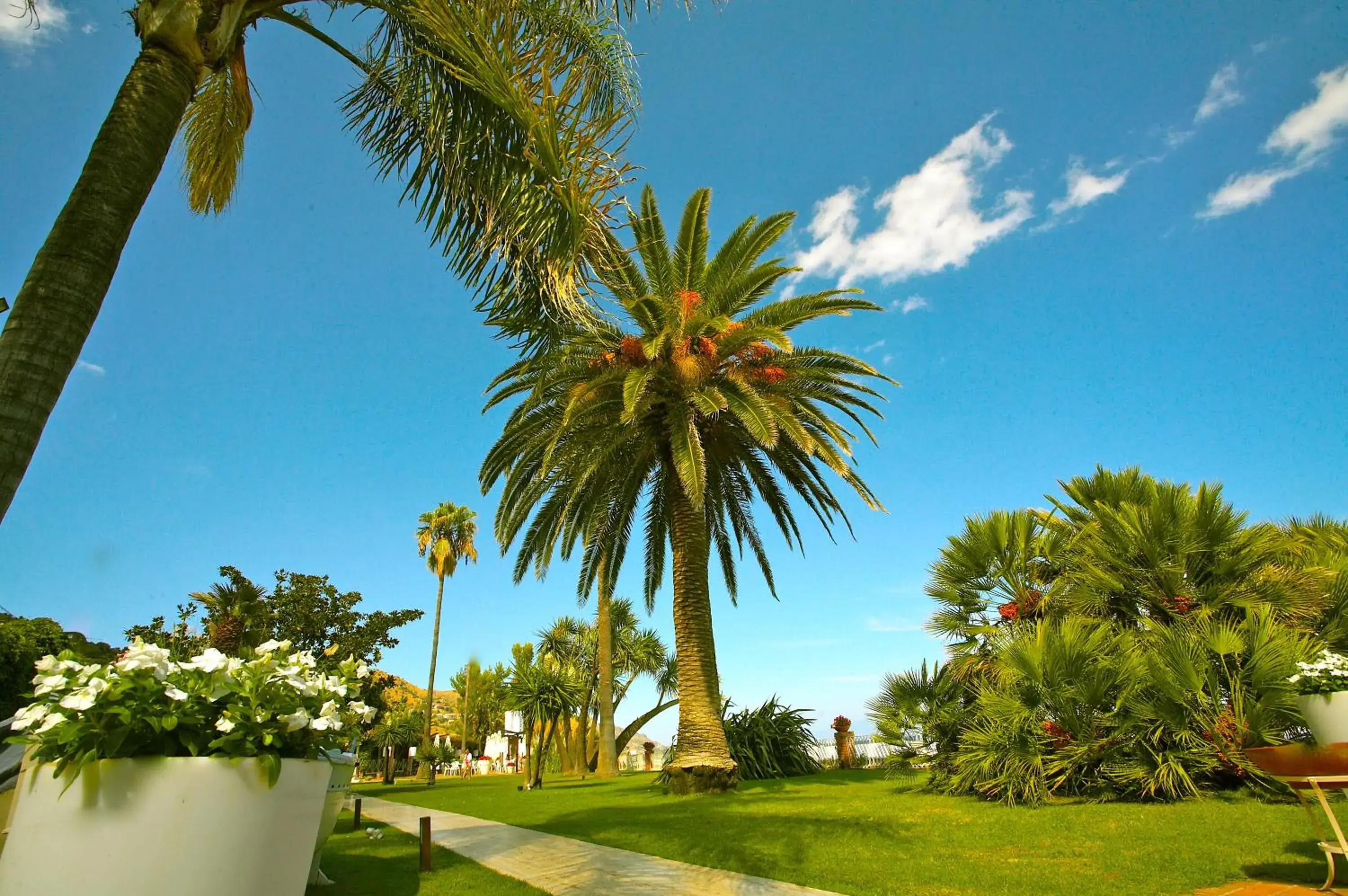 Garden in Hotel Caparena