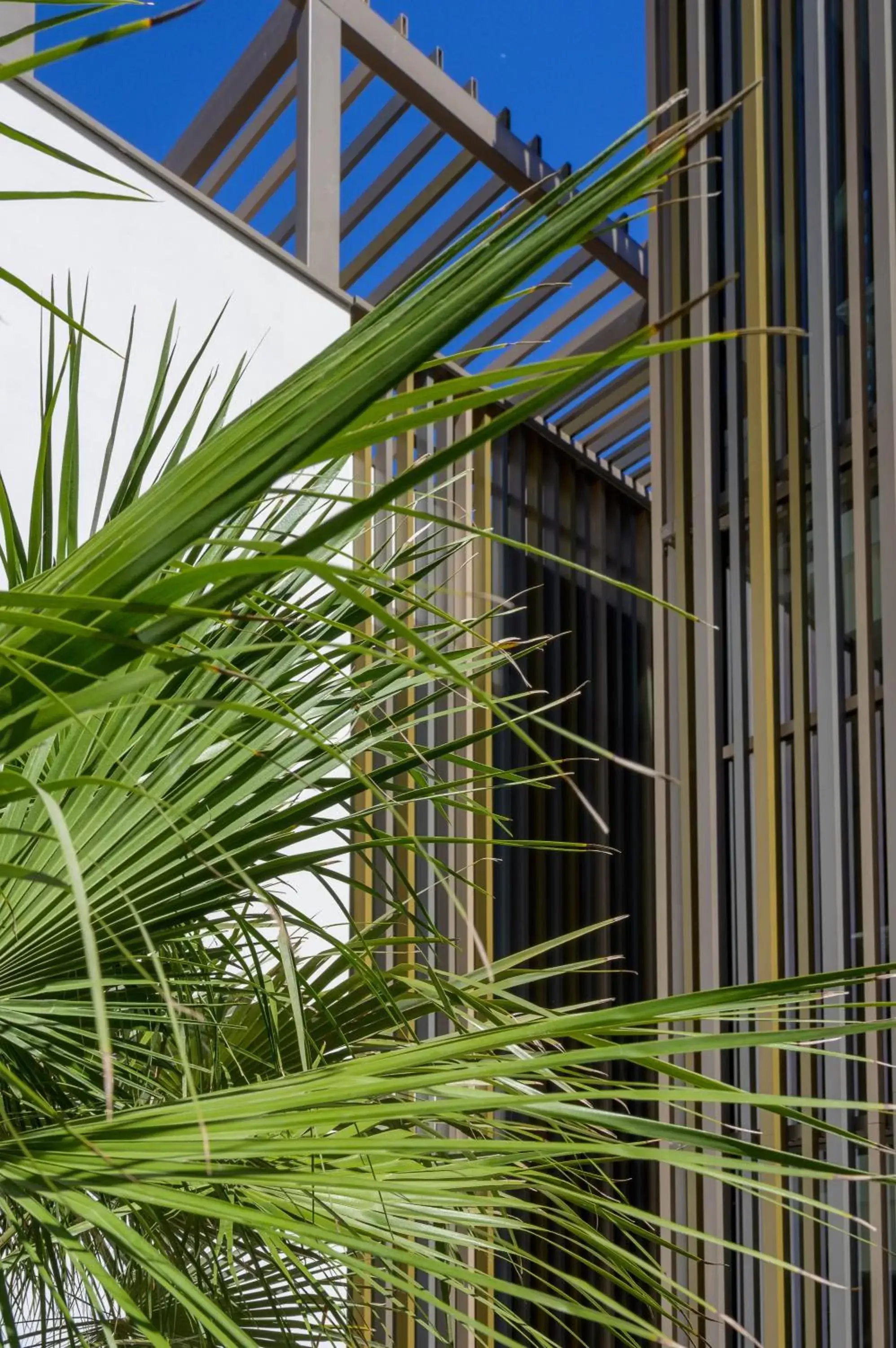 Patio, Property Building in Hotel de La Plage - Nouvel Etablissement