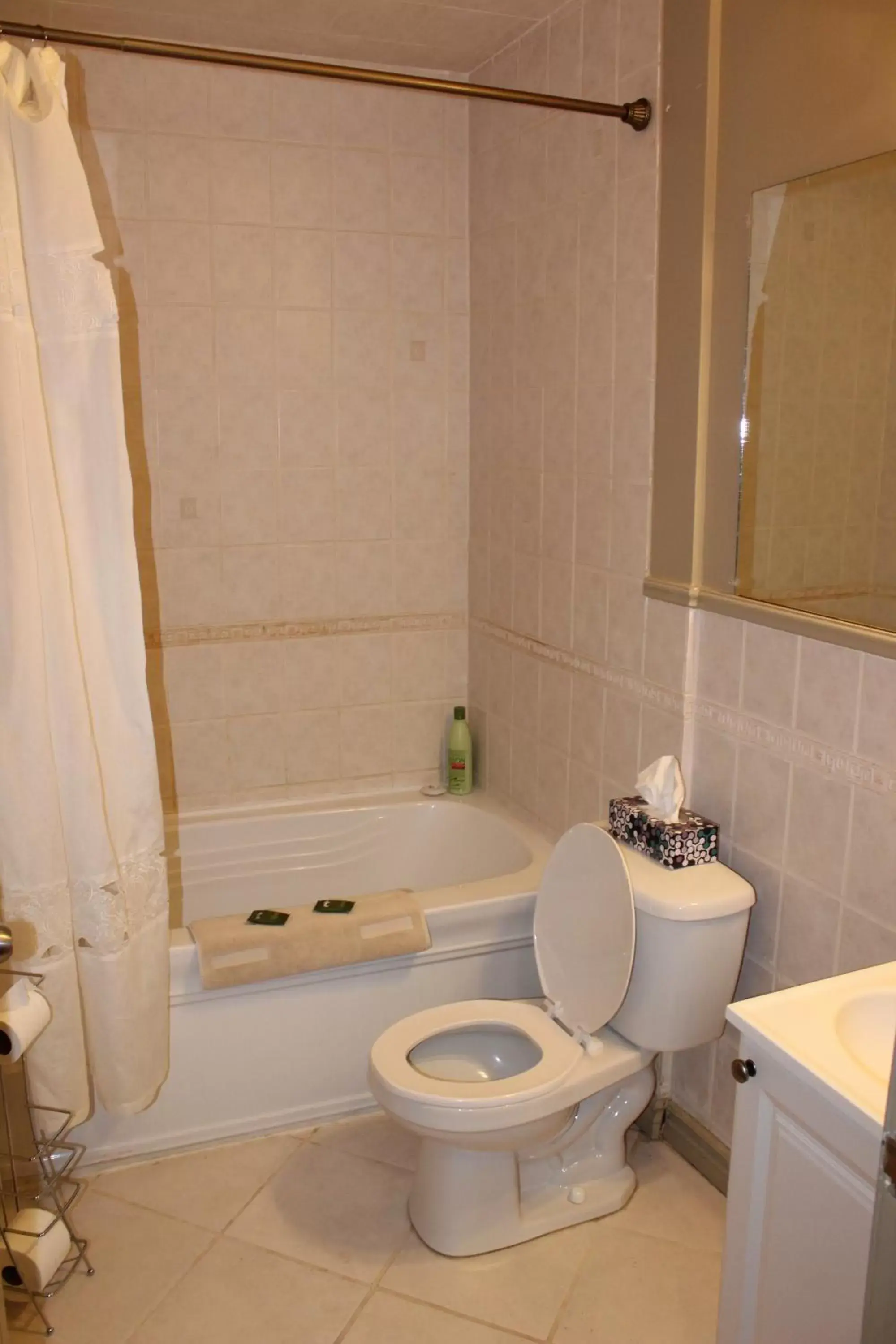 Shower, Bathroom in Dominion Hotel