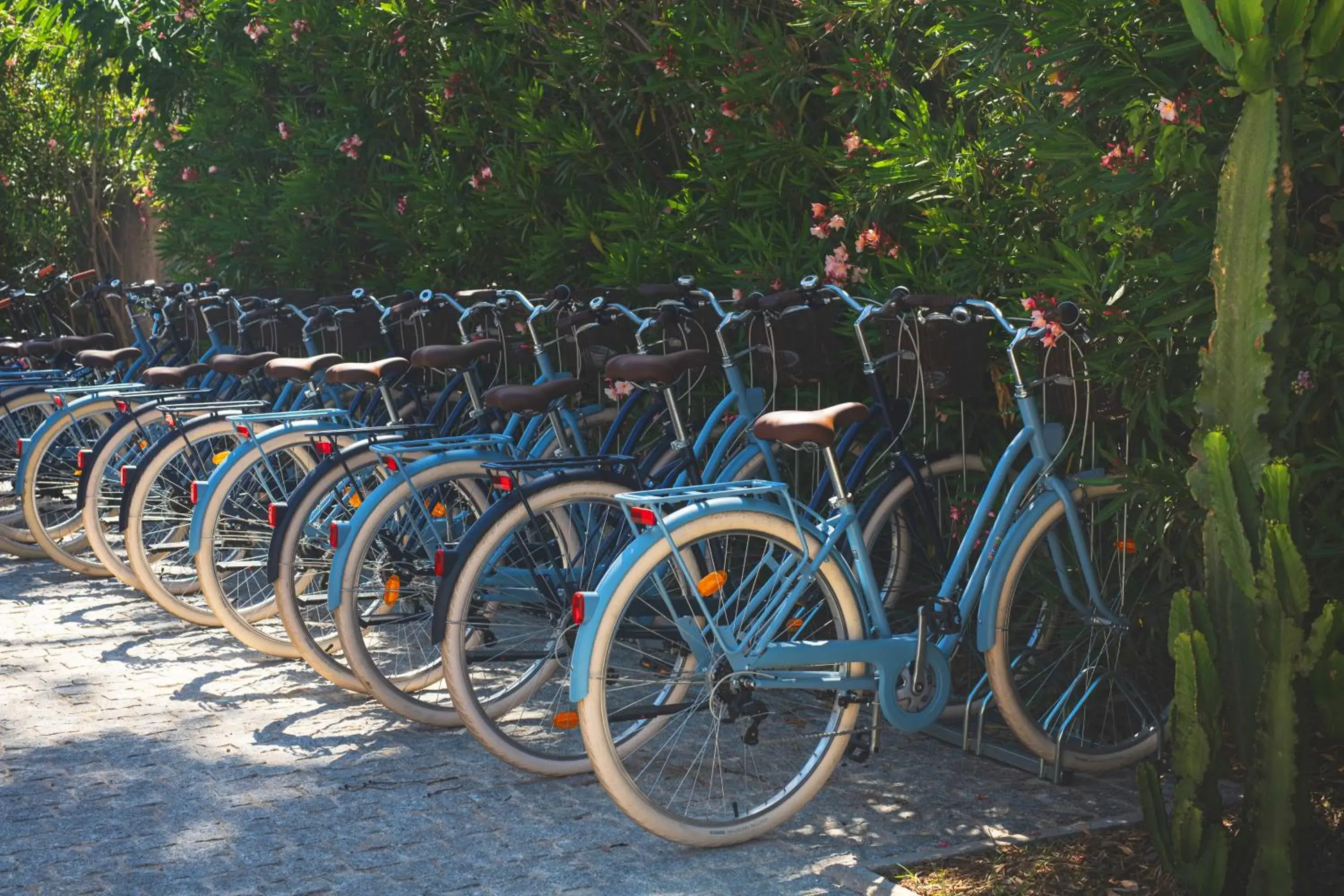 Cycling, Other Activities in Hotel Casarose