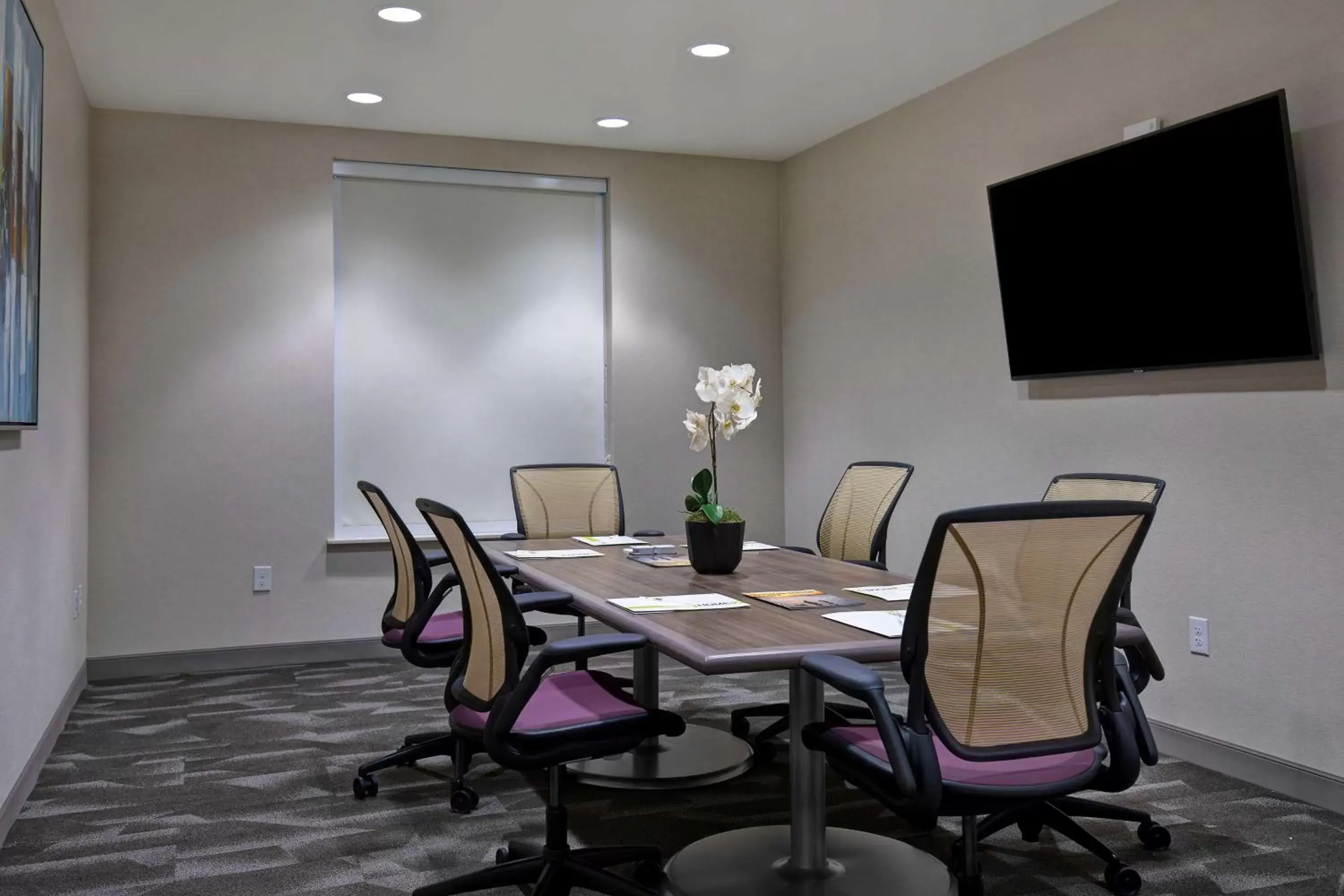 Meeting/conference room, TV/Entertainment Center in Home2 Suites By Hilton Lewisville Dallas