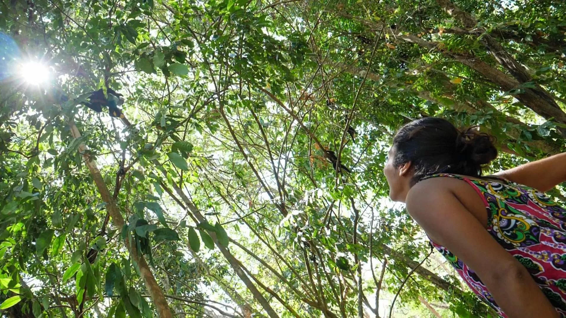 Natural landscape in Hotel Punta Leona