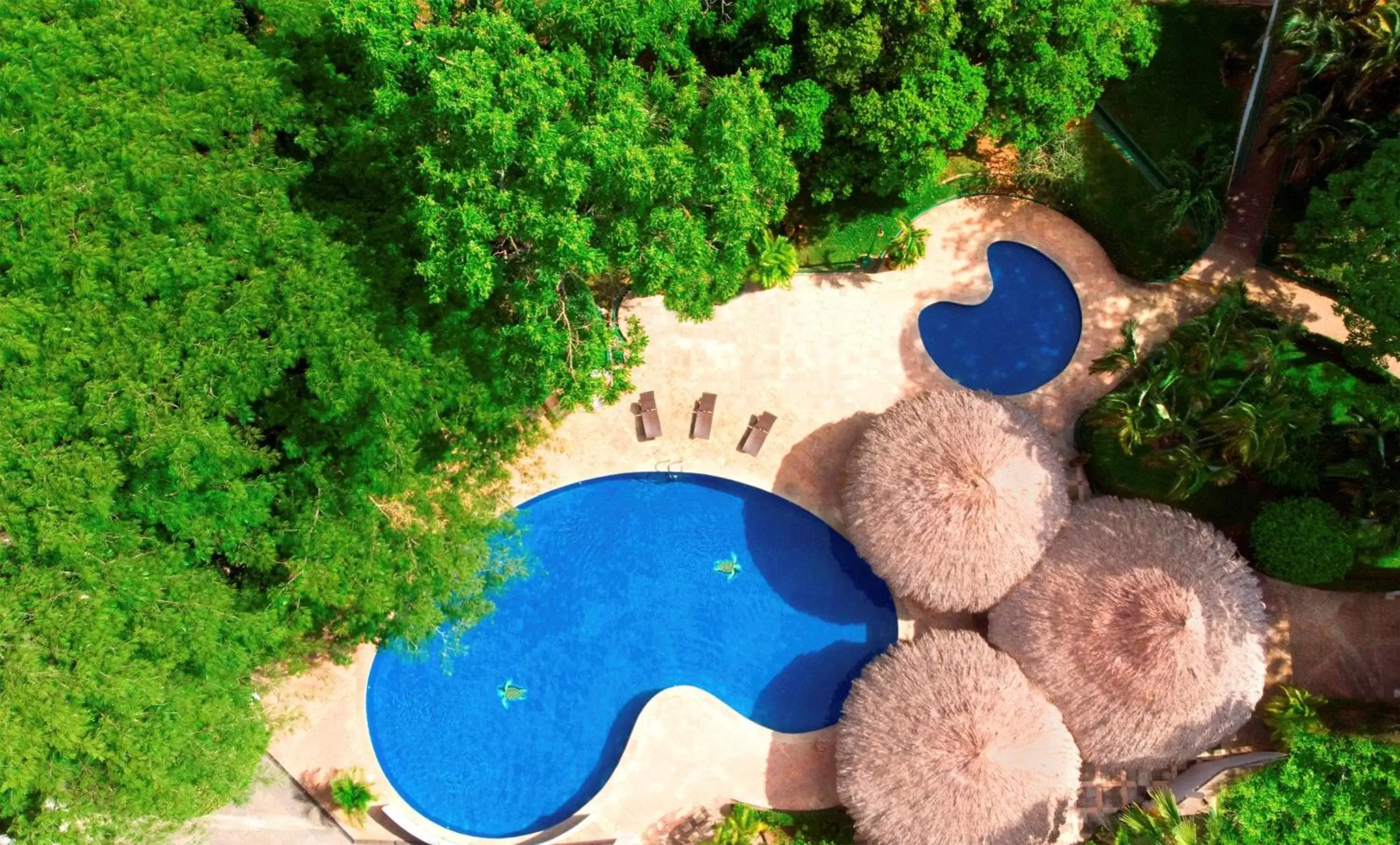 Activities, Pool View in Hyatt Regency Villahermosa