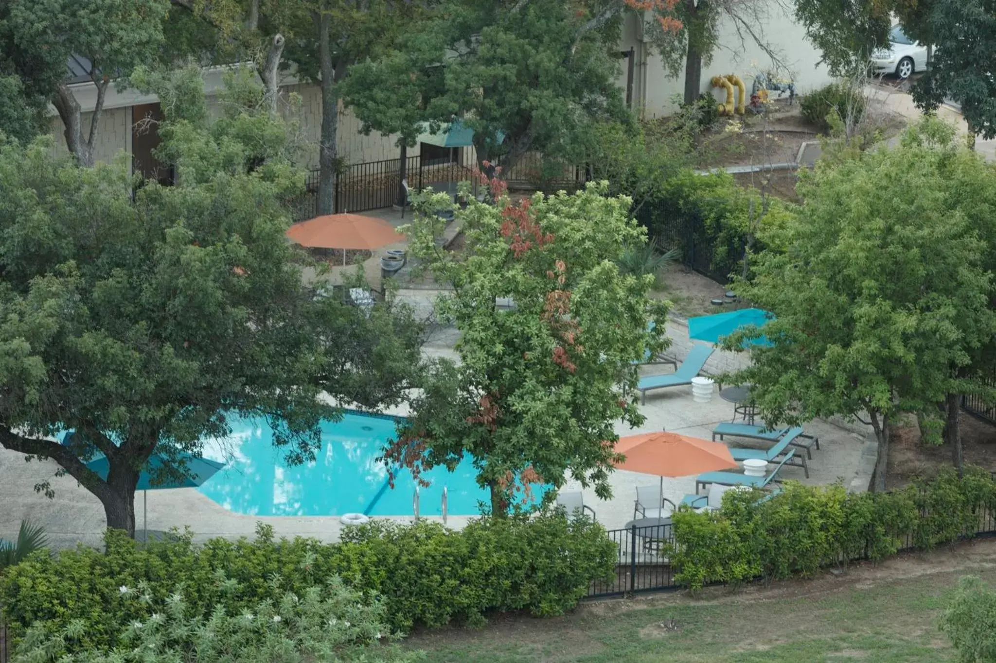 Swimming pool, Pool View in Holiday Inn Austin Midtown, an IHG Hotel