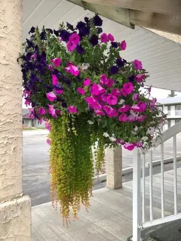 Balcony/Terrace in Shoreside Inn & Suites