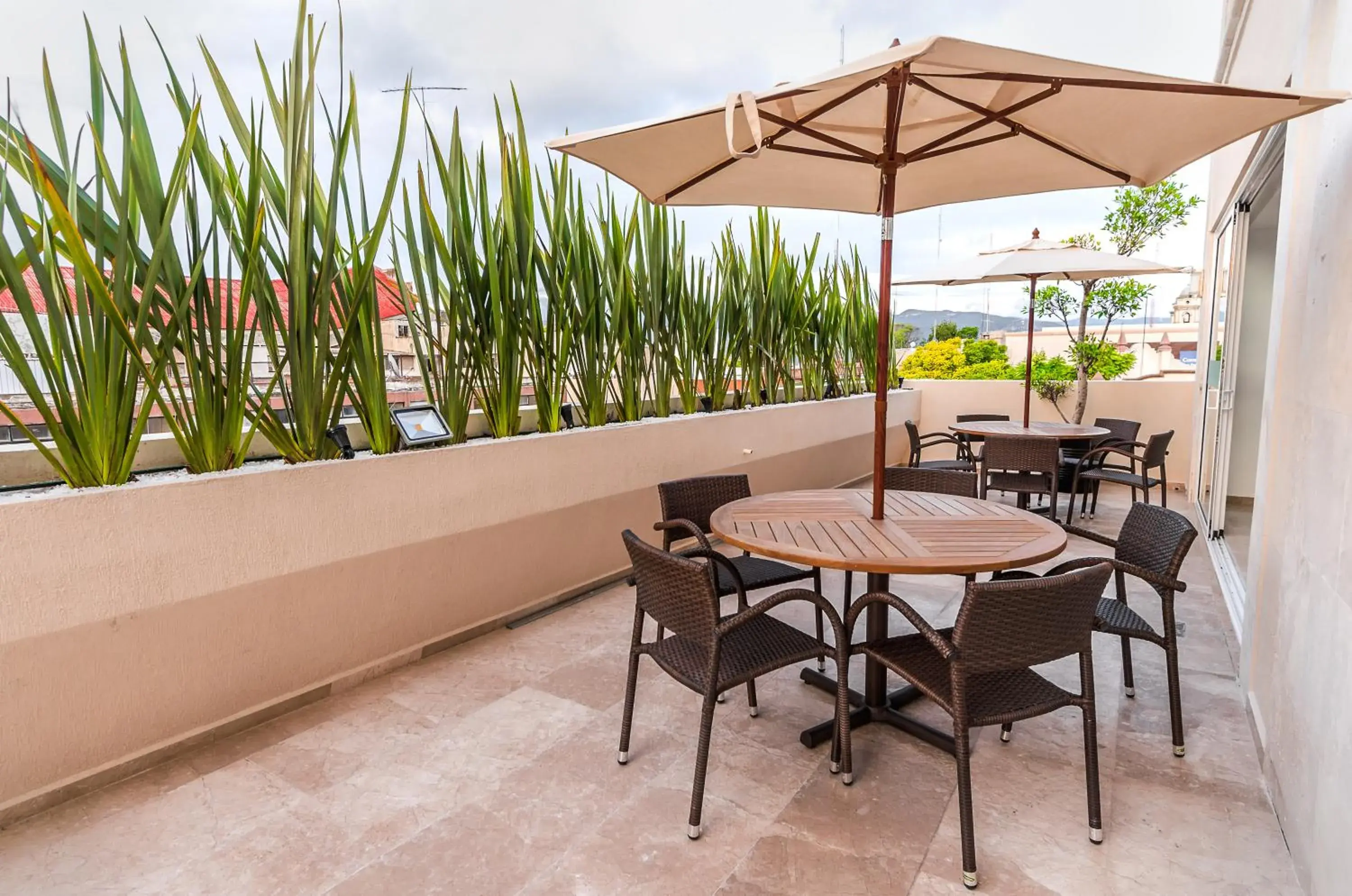 Balcony/Terrace in Hotel Zenith