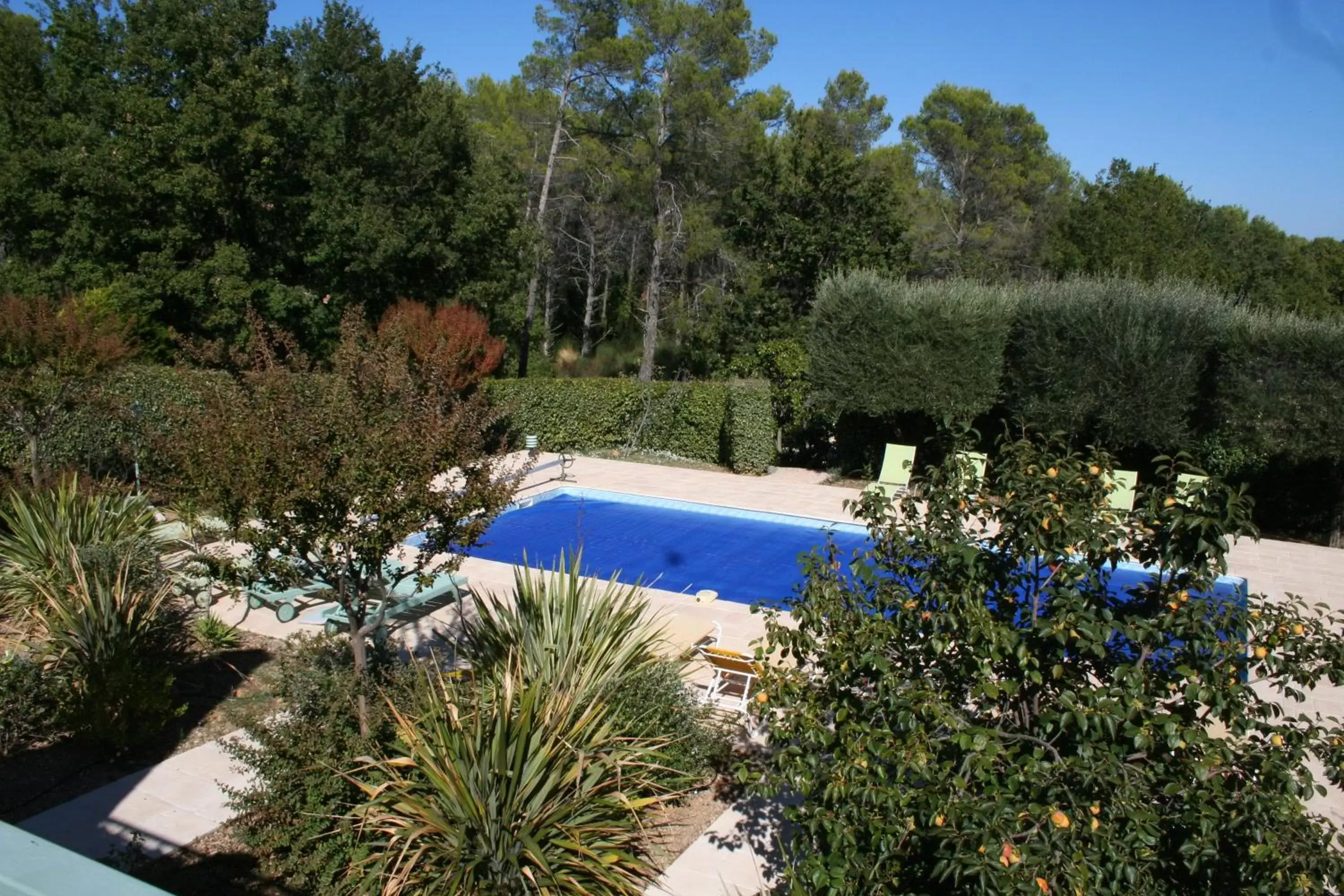 Pool View in LE MAS DES TARENTES Chambres d'hôtes