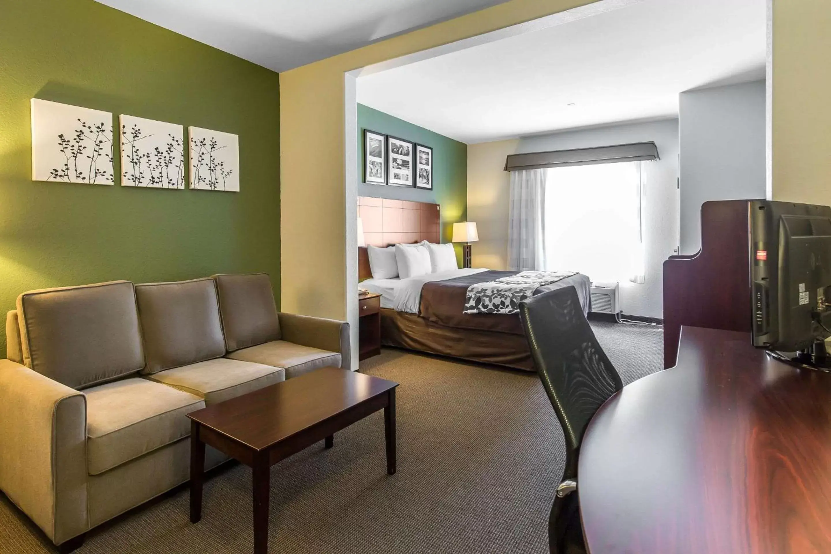 Bed, Seating Area in Sleep Inn & Suites Bush Intercontinental - IAH East