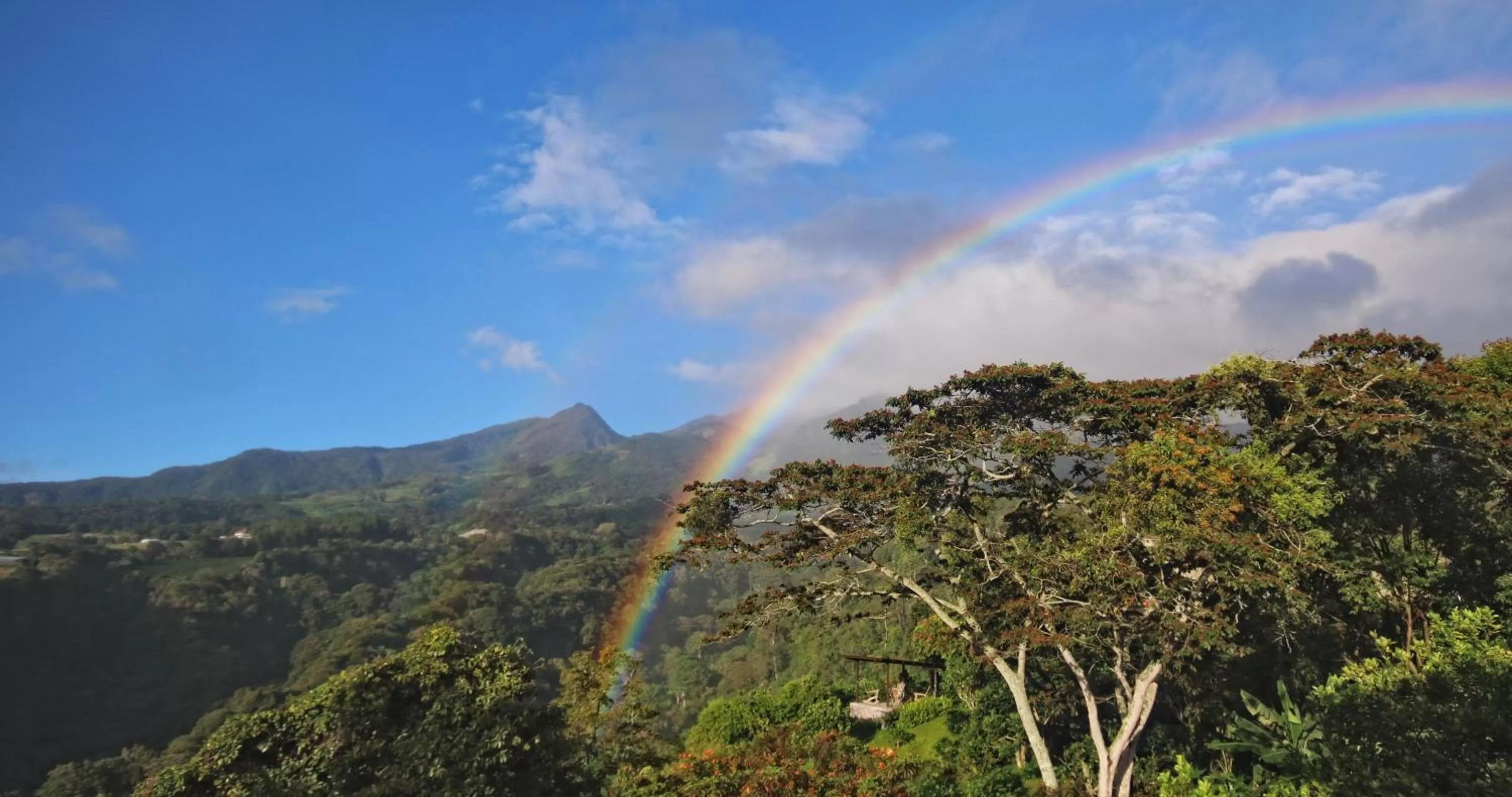 Bird's-eye View in The Guest Suites at Manana Madera
