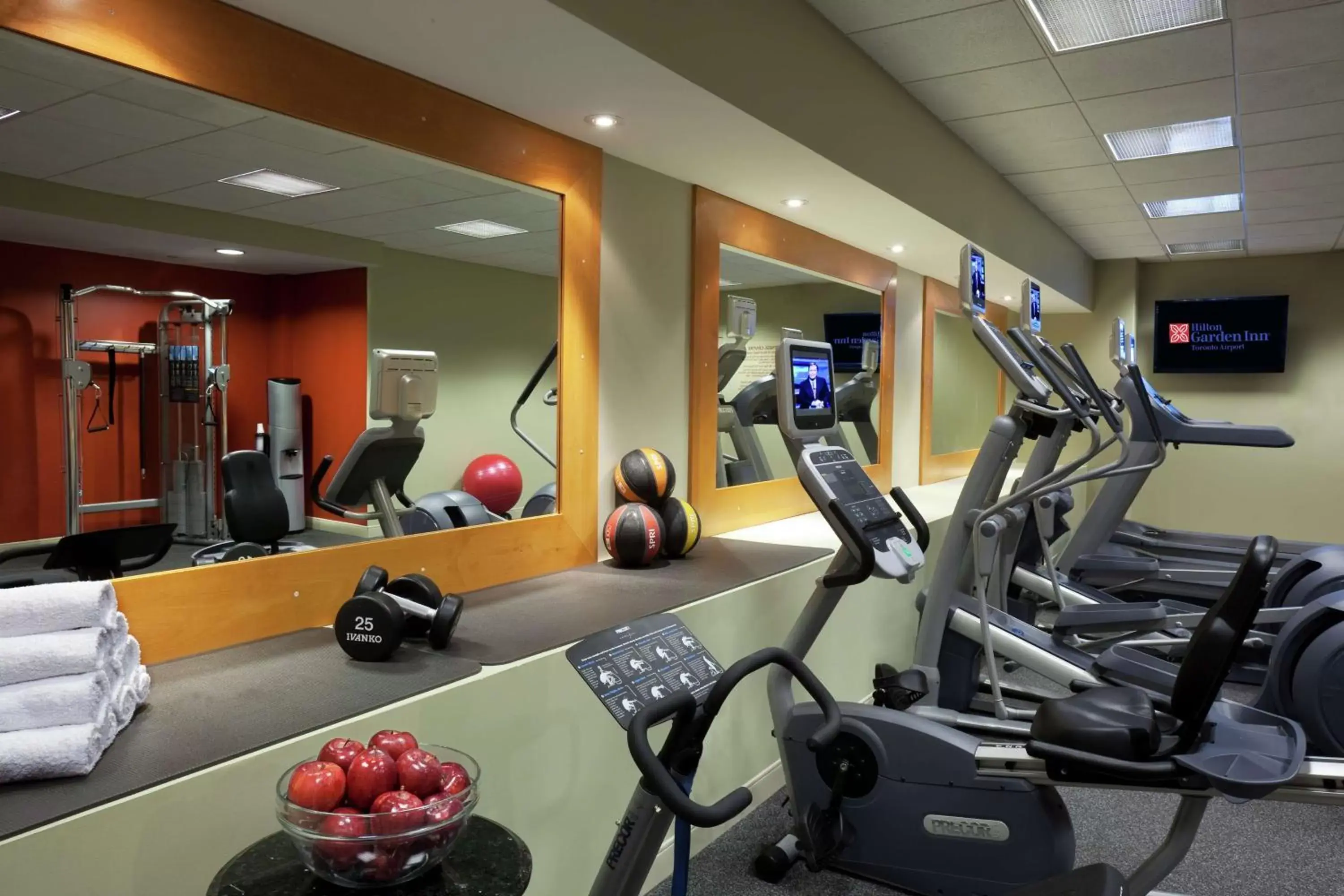 Fitness centre/facilities, Fitness Center/Facilities in Hilton Garden Inn Toronto Airport