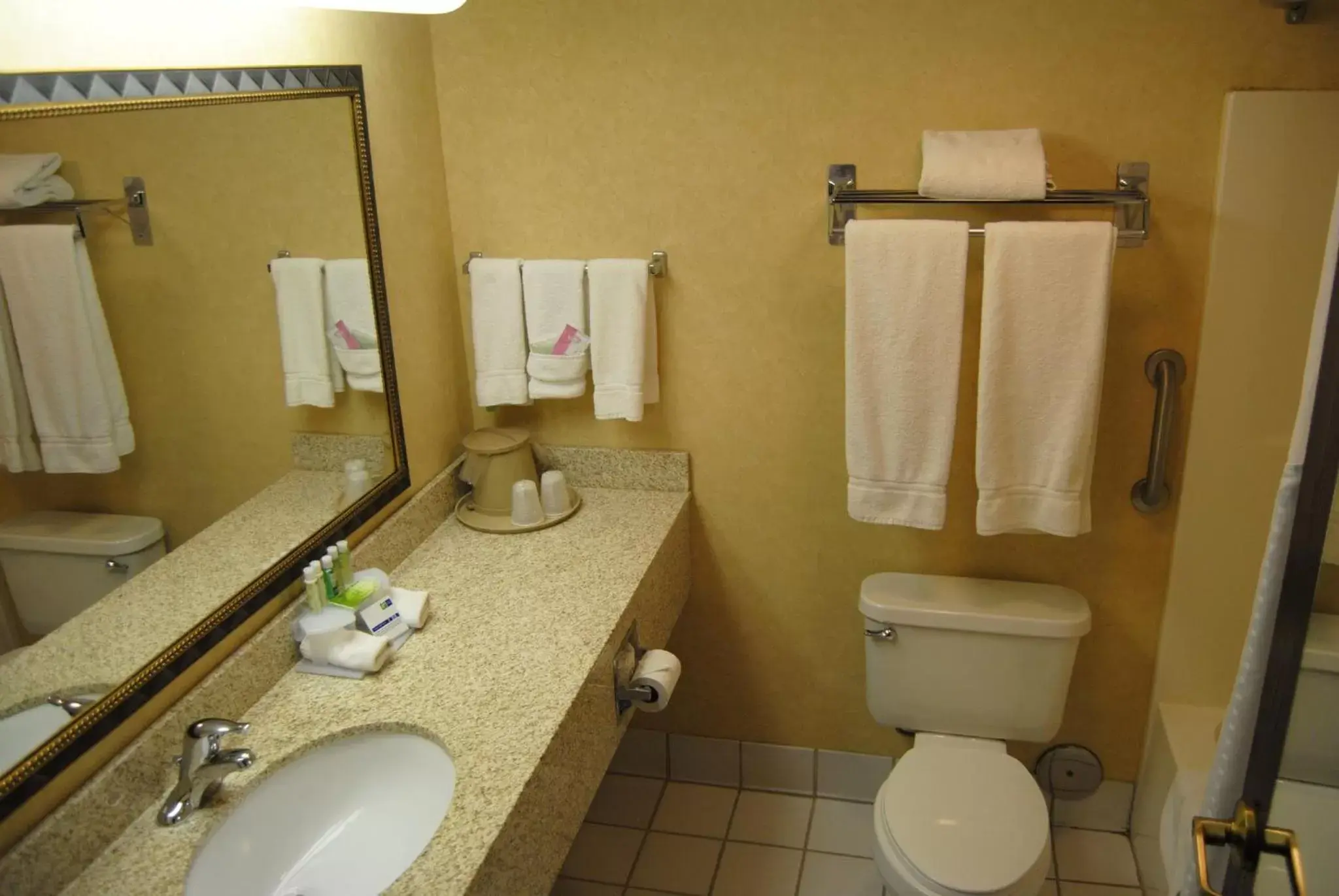 Bathroom in Holiday Inn Express La Junta, an IHG Hotel