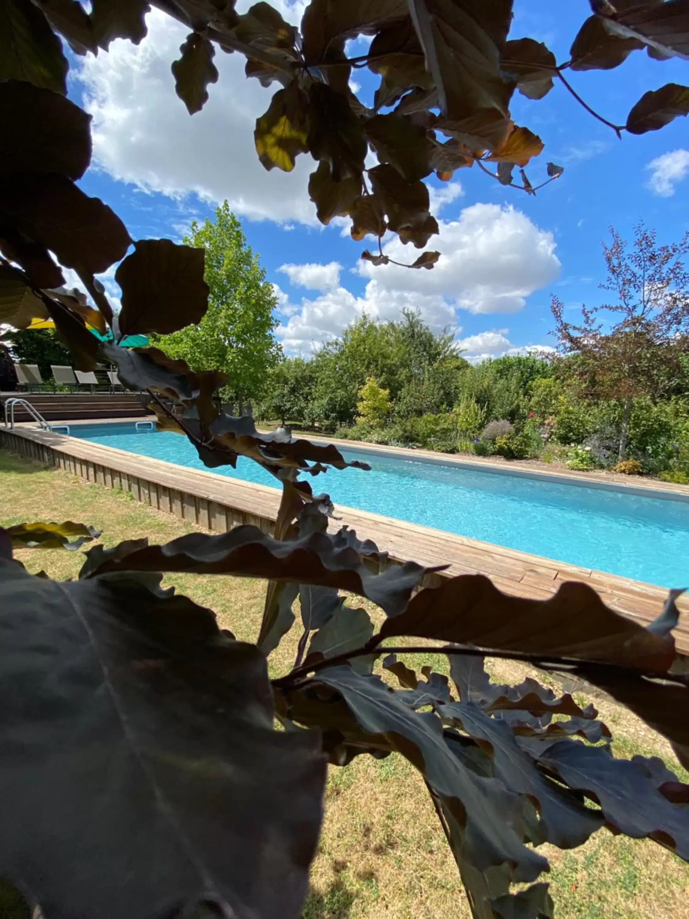 Swimming pool in L'Ecole des Garçons