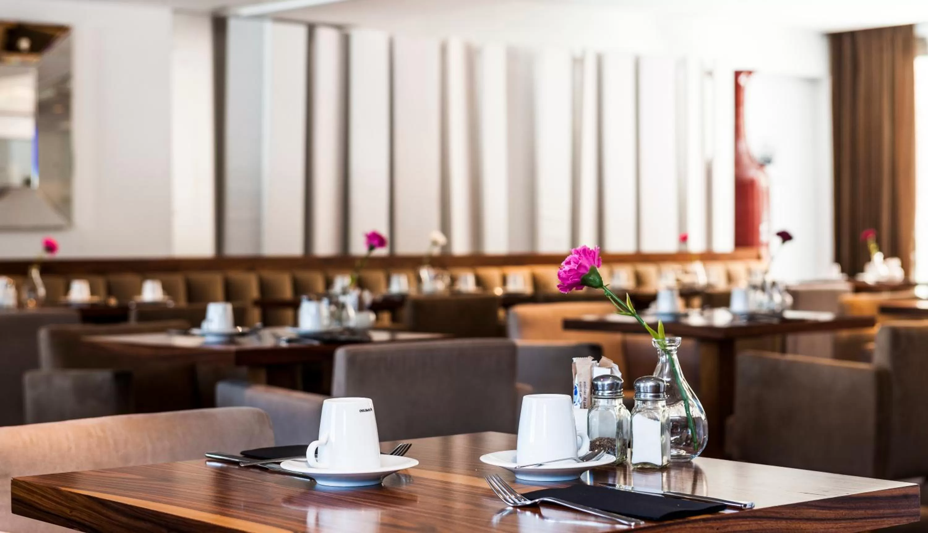 Food and drinks in Palacio Avenida