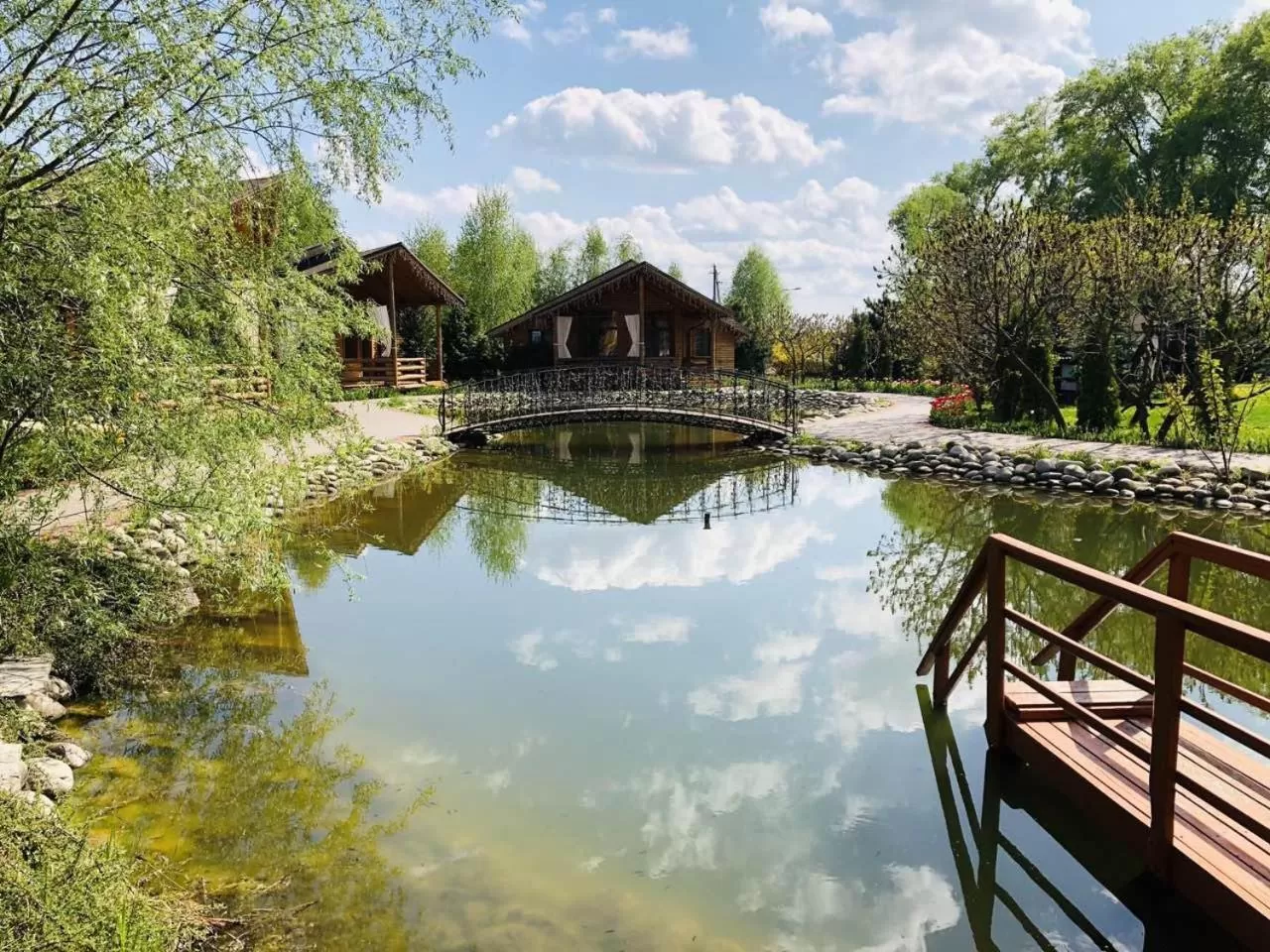 Natural landscape, Swimming Pool in Petrovskyi Brovar