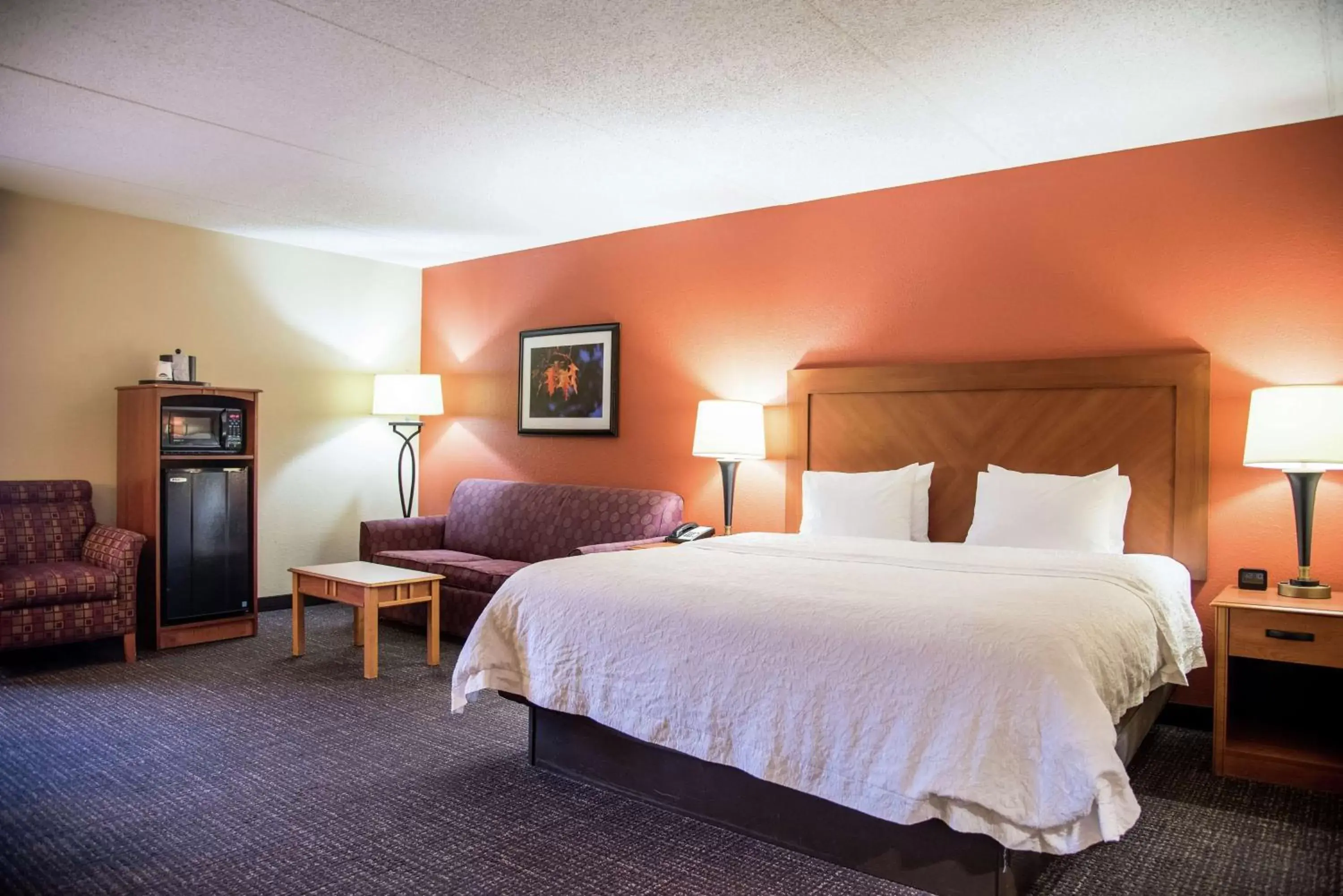 Bedroom, Bed in Hampton Inn Muskegon