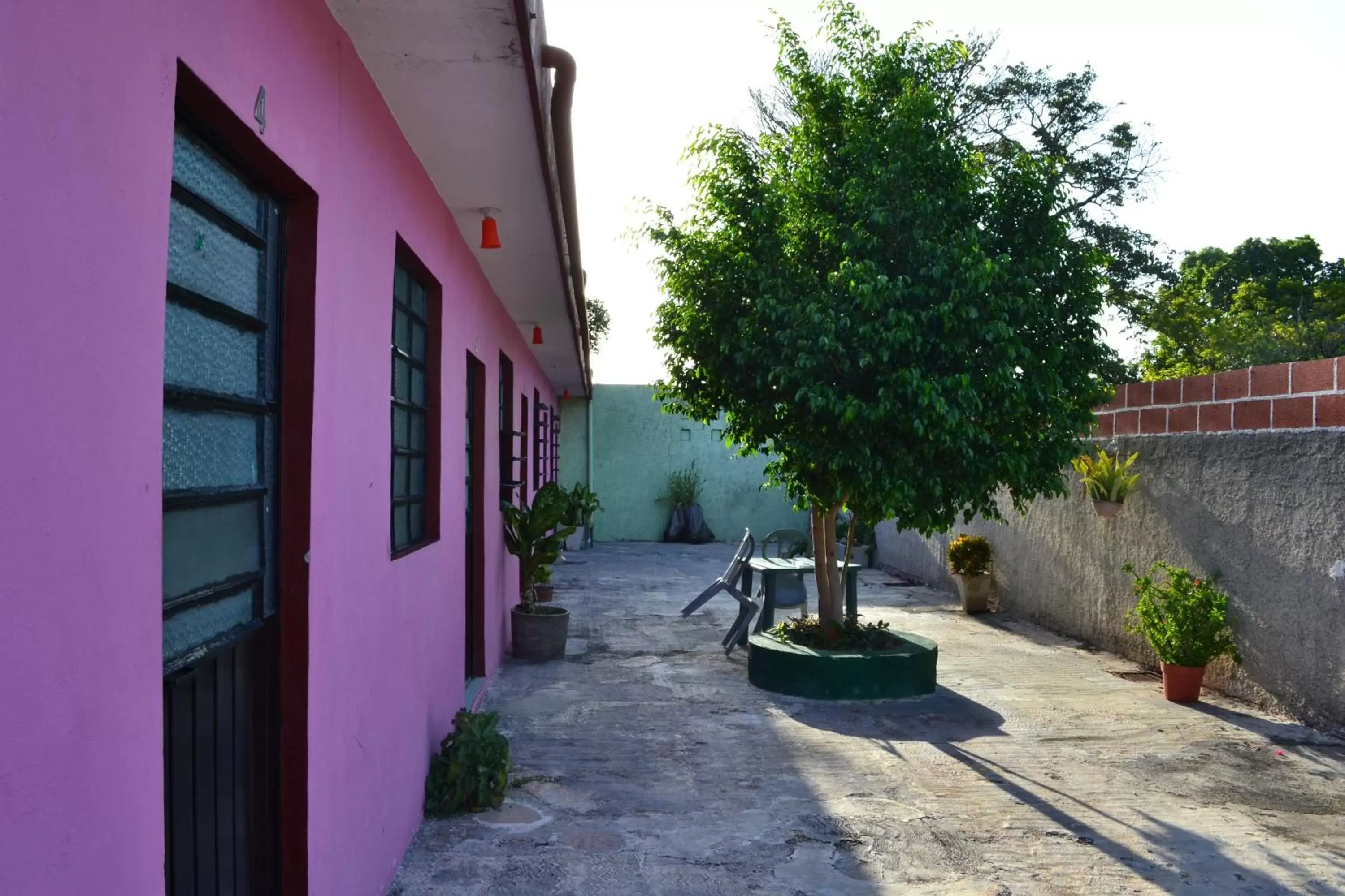 Garden in Casa Cuevas & Amaro