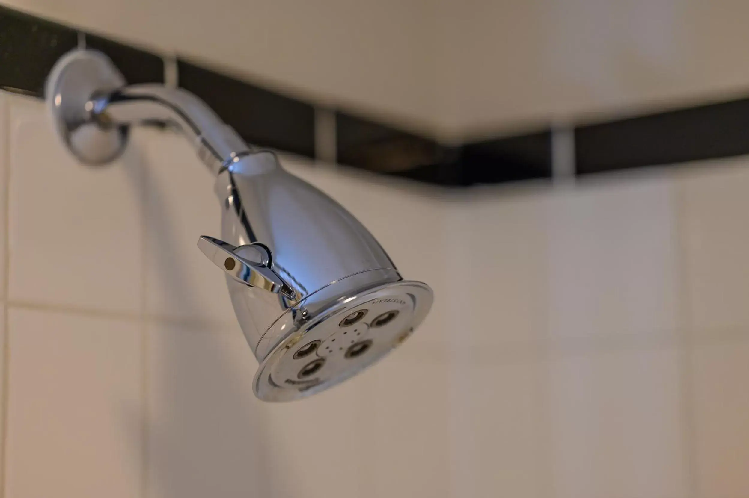 Shower, Bathroom in Brass Lantern Inn