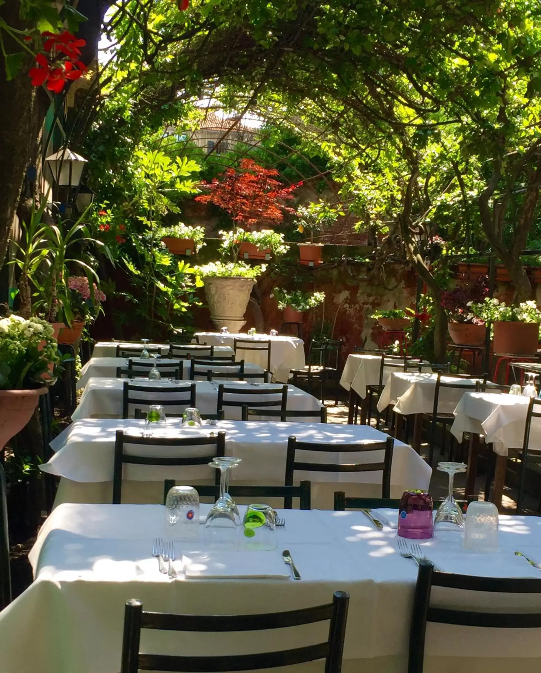 Garden, Restaurant/Places to Eat in Antica Locanda Montin