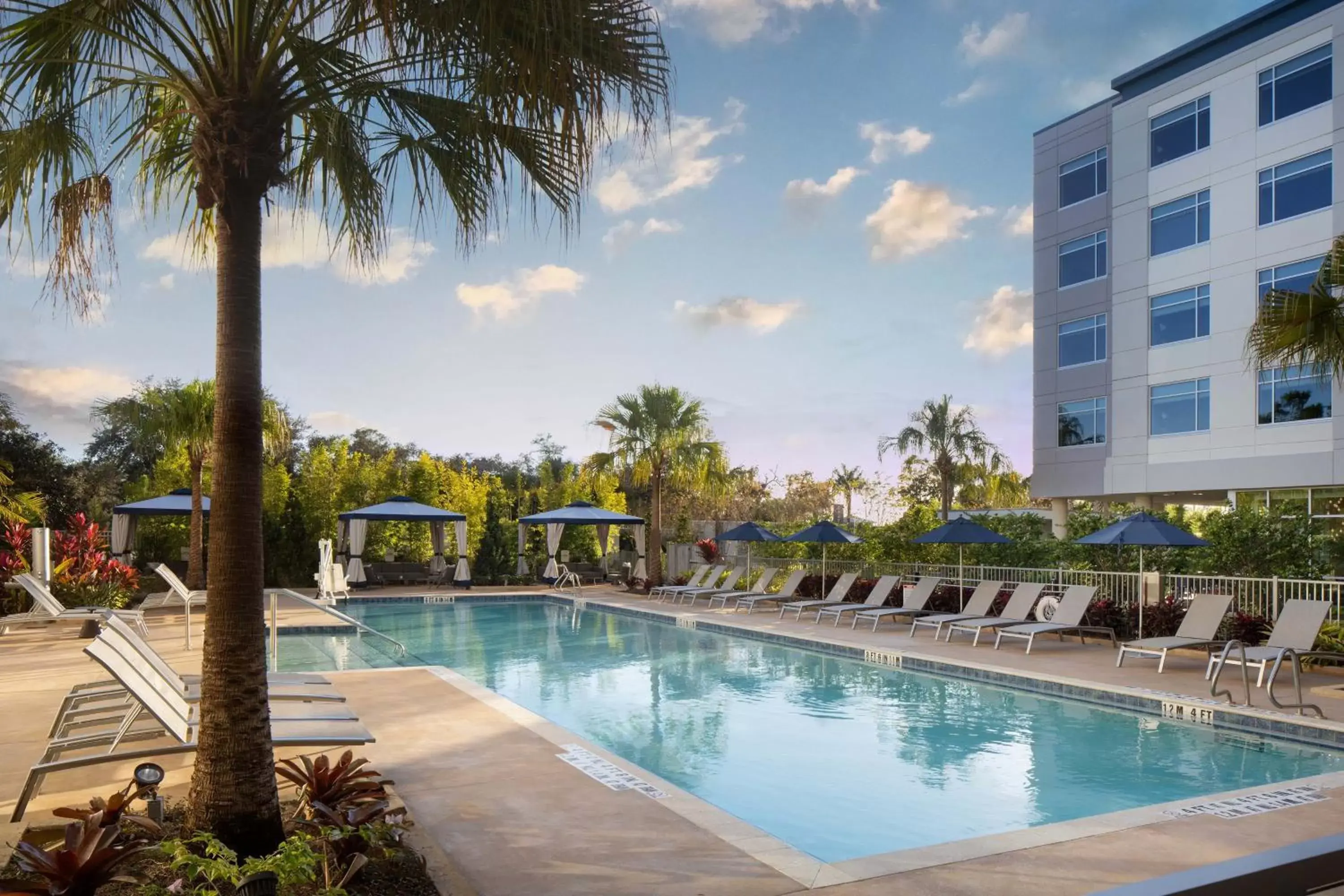 Swimming Pool in The Celeste Hotel, Orlando, a Tribute Portfolio Hotel