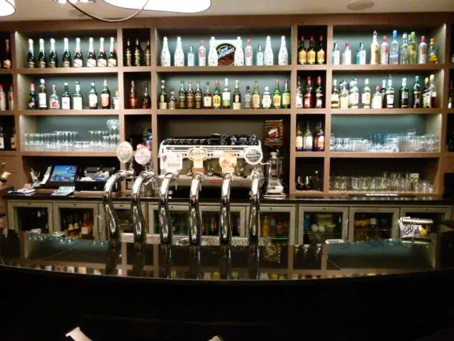 Lounge or bar, Drinks in Hôtel Victor