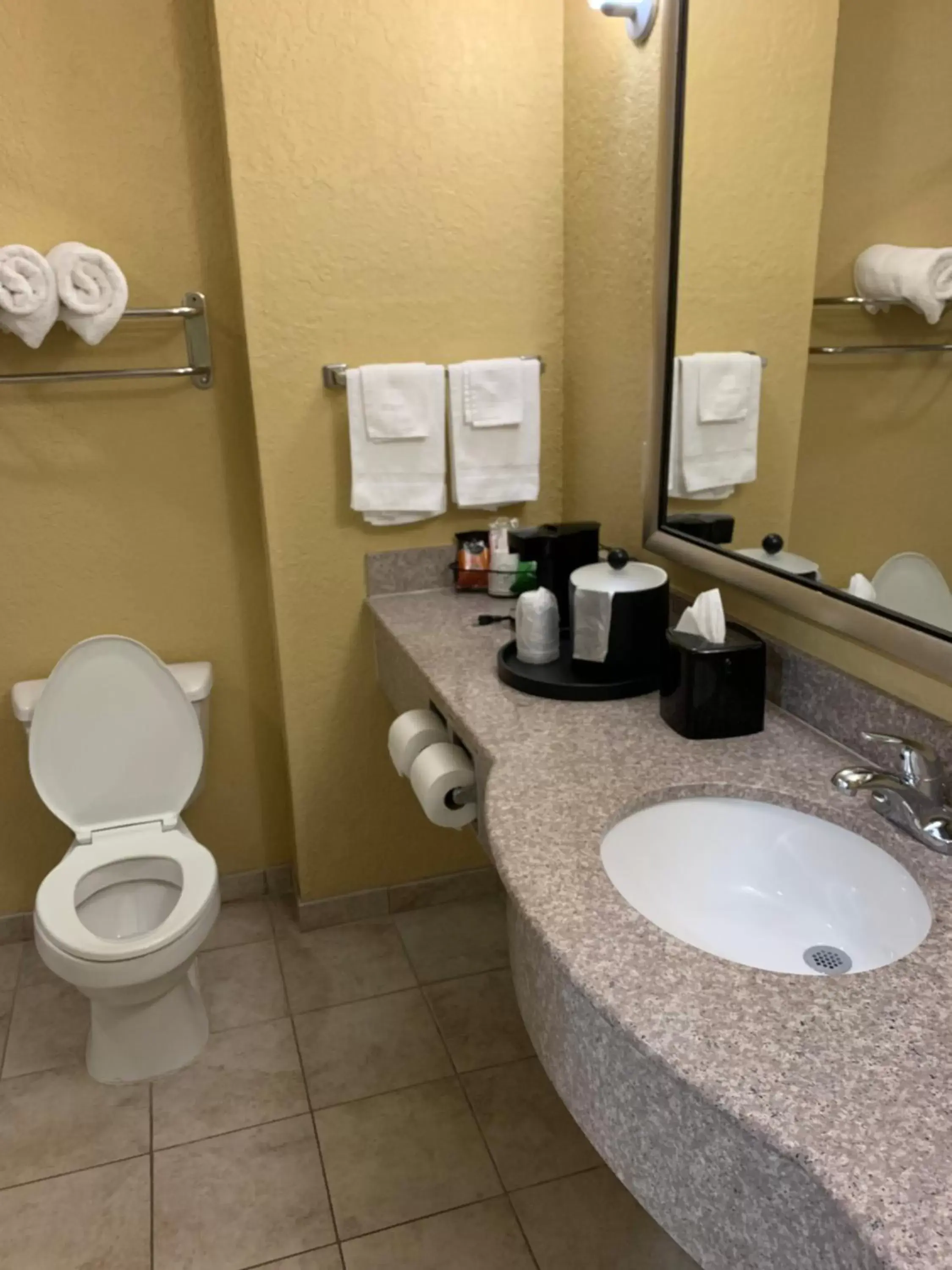 Bathroom in Ambassador Inn & Suites