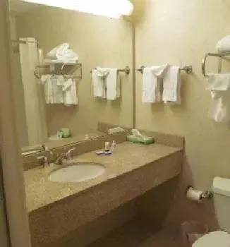 Bathroom in Grand Harbor Resort