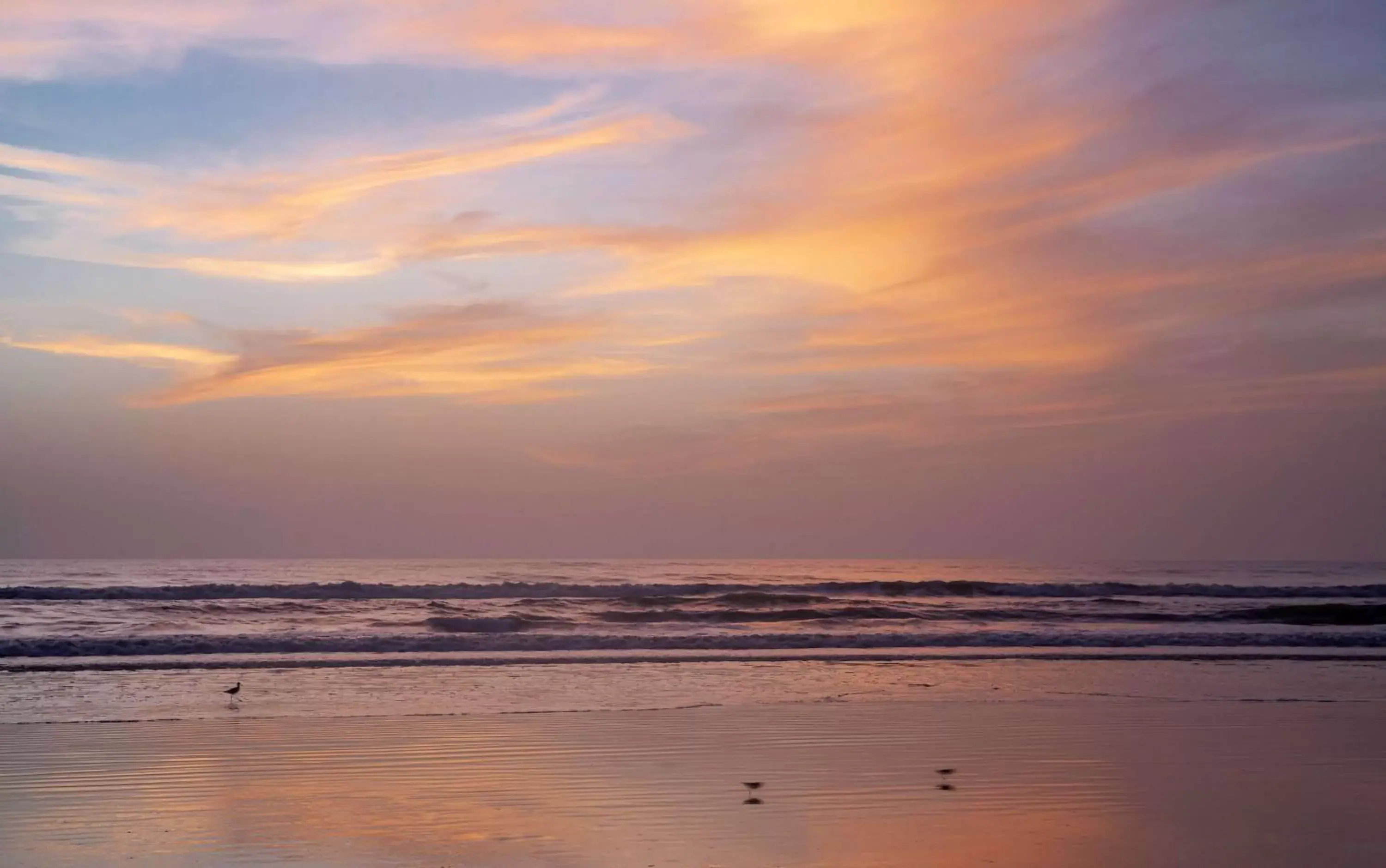 Beach, Sunrise/Sunset in Best Western New Smyrna Beach Hotel & Suites