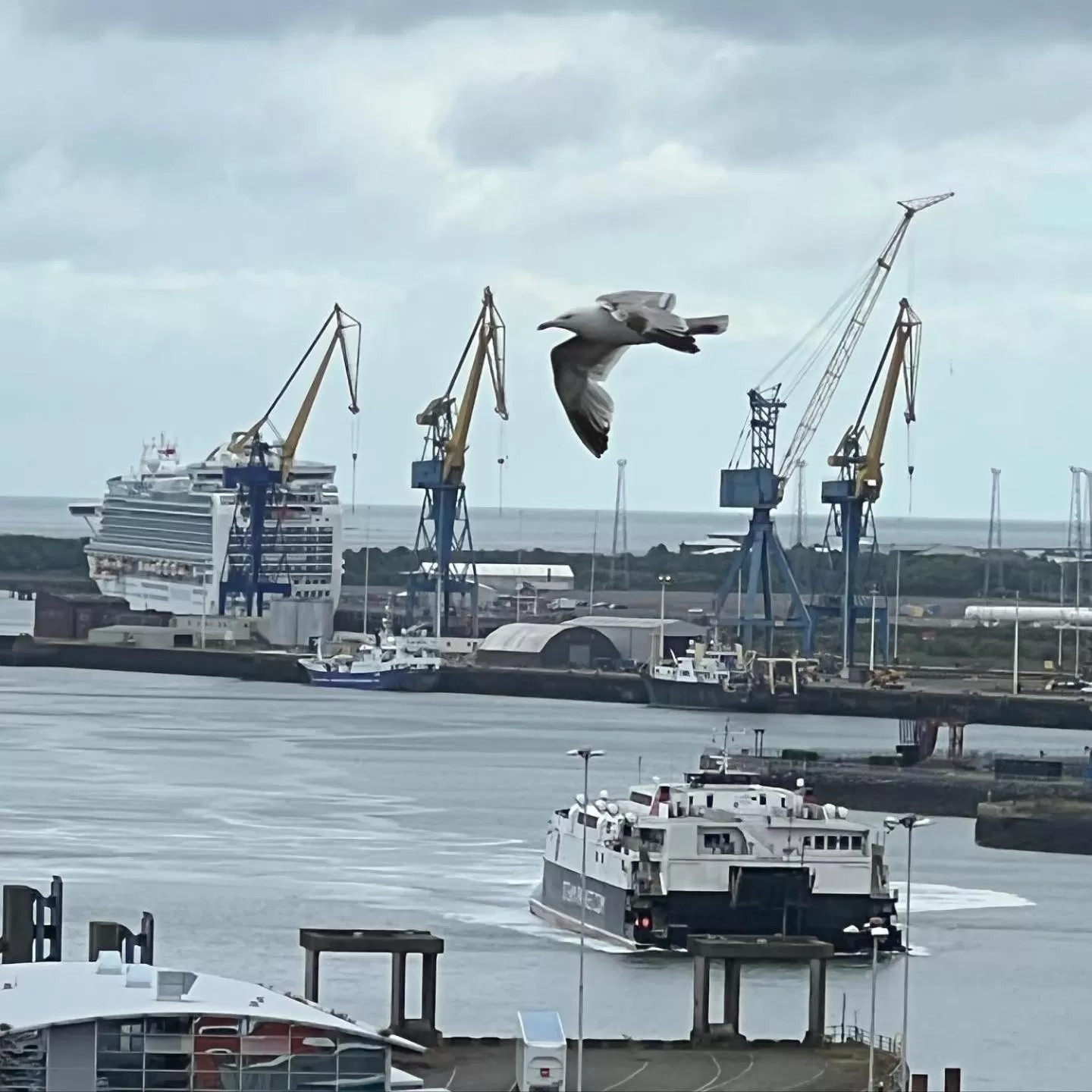 ROTTERDAM BED & BREAKFAST