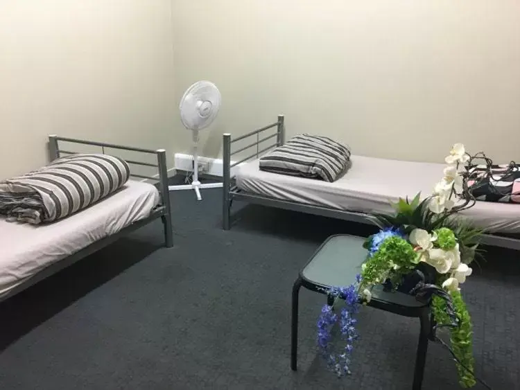 Twin Room with Shared Bathroom - No Window in Surf 'N' Snow Backpackers Across Sky Tower Twin Room with Shared Bathroom - No Window in Surf 'N' Snow Backpackers Across Sky Tower