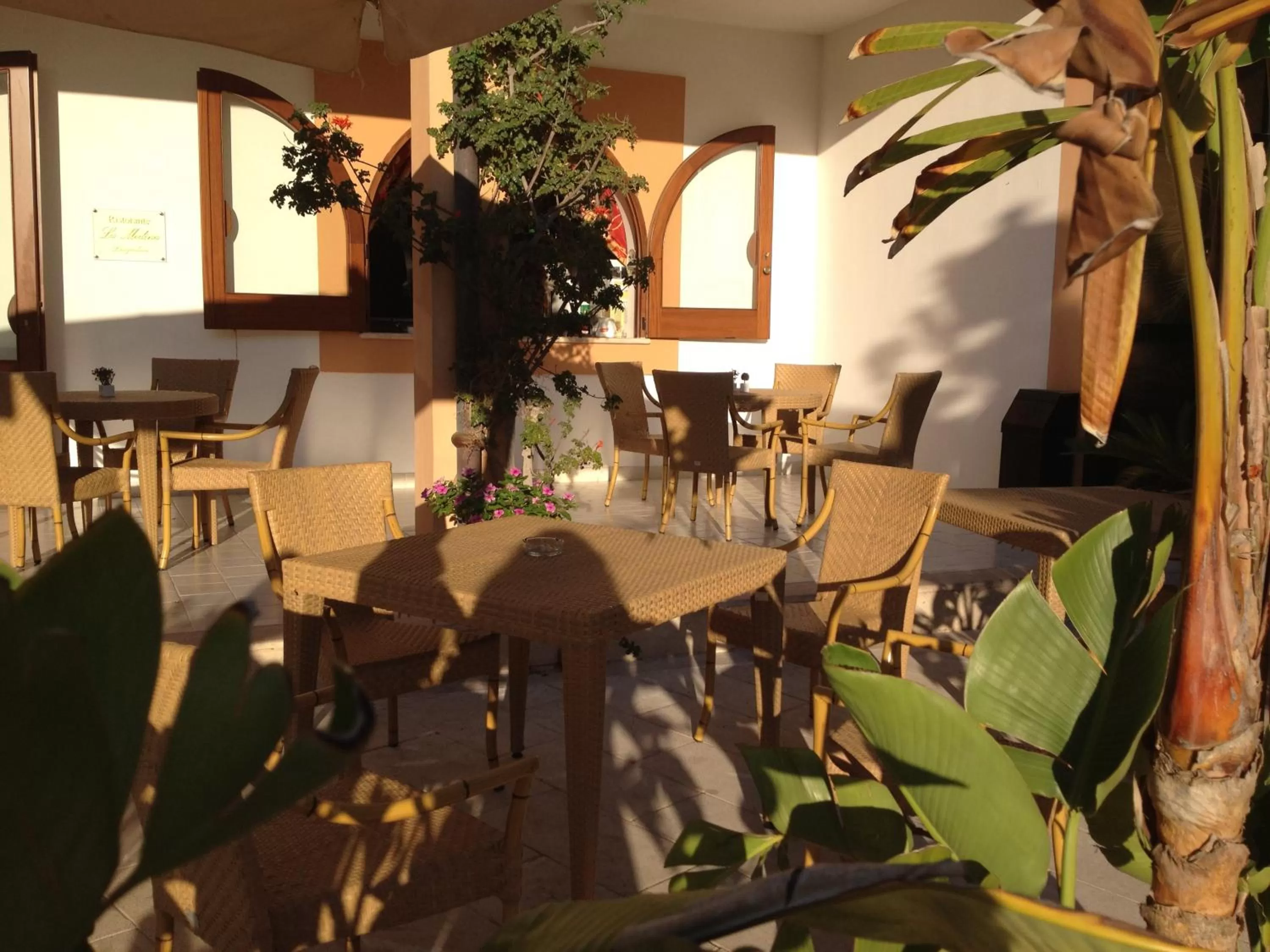 Area and facilities in Hotel Medusa