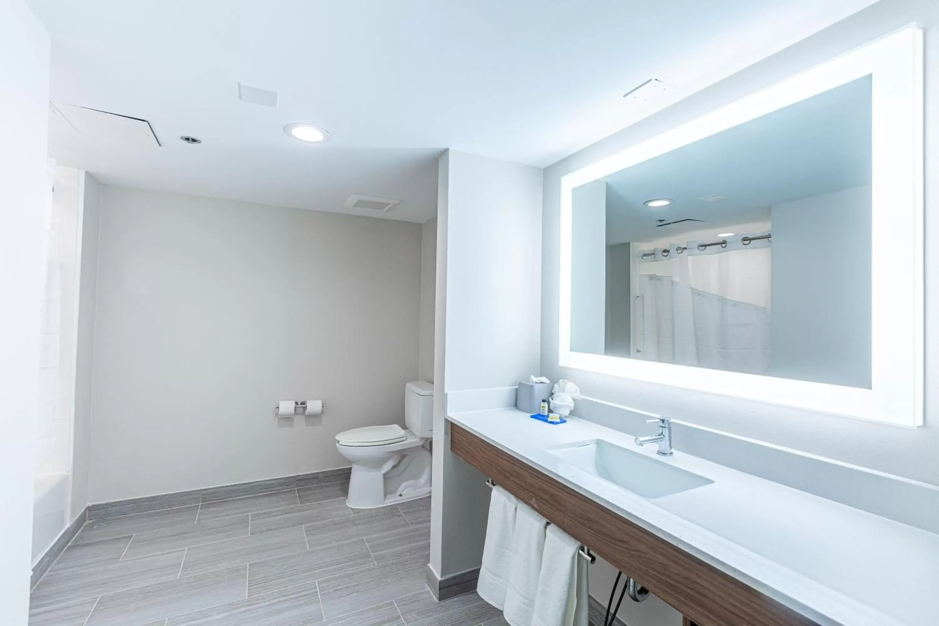 Bathroom in Holiday Inn Express & Suites Arlington North – Stadium Area, an IHG Hotel