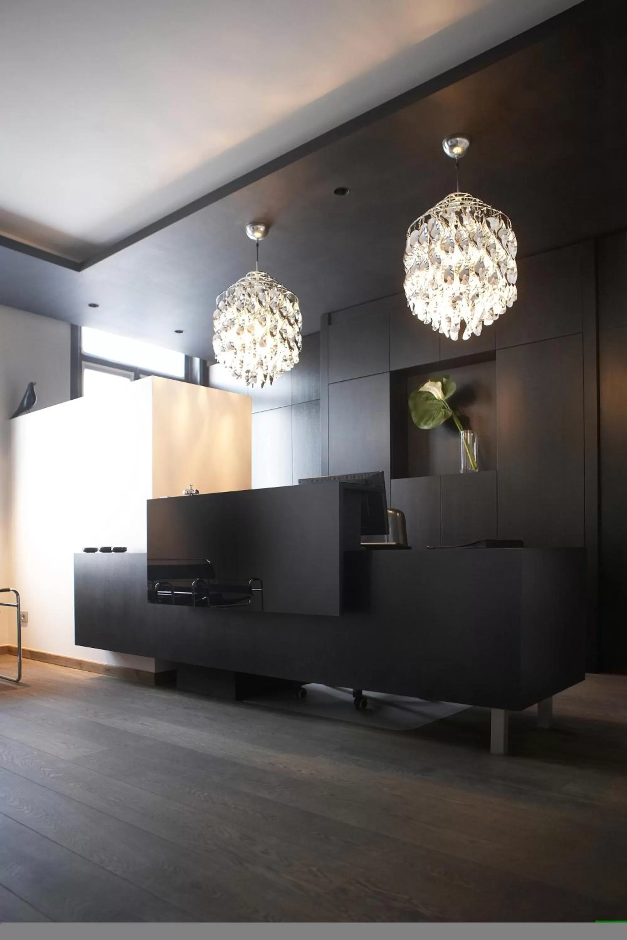 Lobby or reception in Hotel Domus