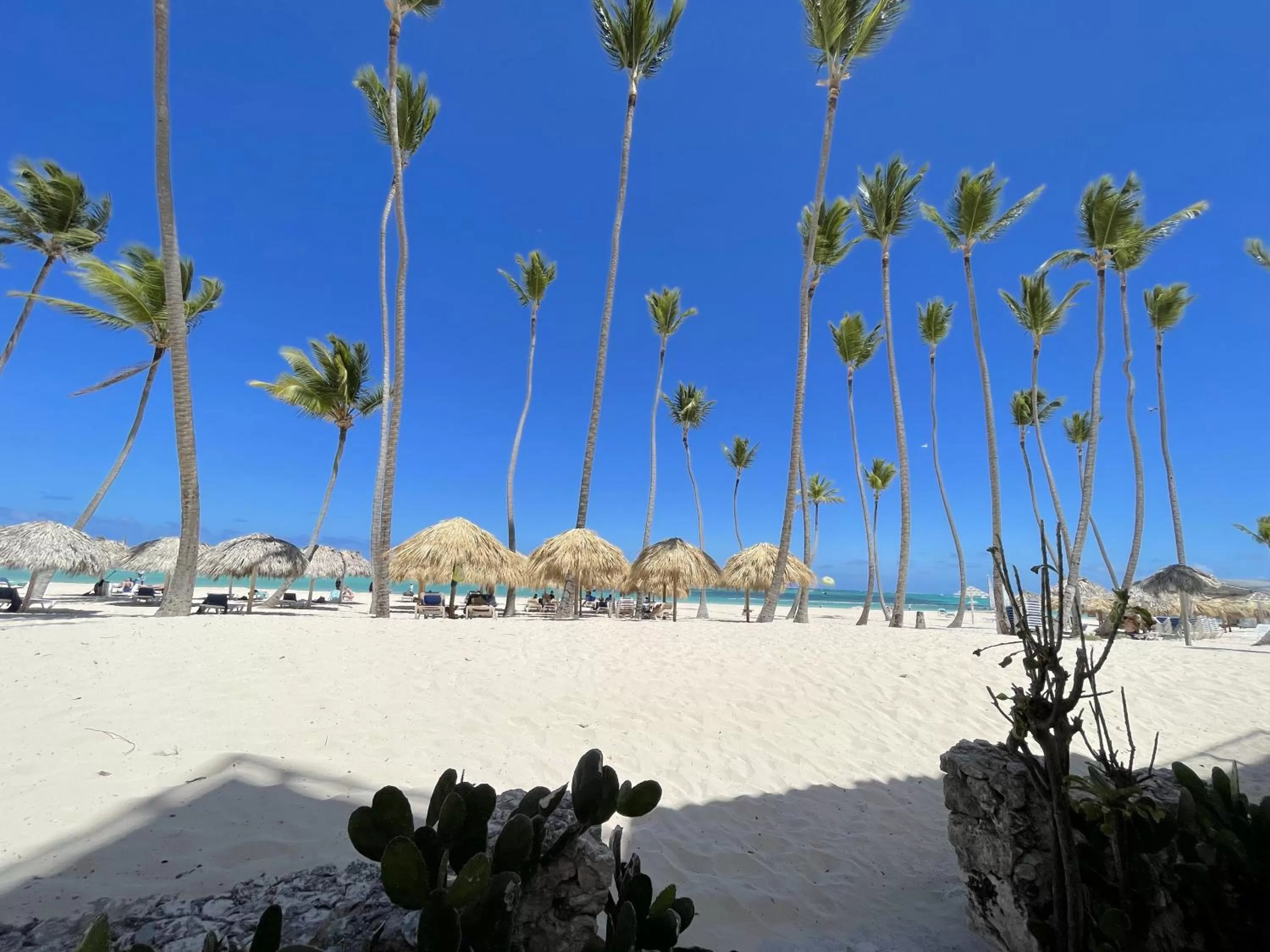 Nearby landmark, Beach in BEACH Condo-HOTEL with VILLAS & PRIVATE Apartments WIFI BBQ Beach CLUB & SPA