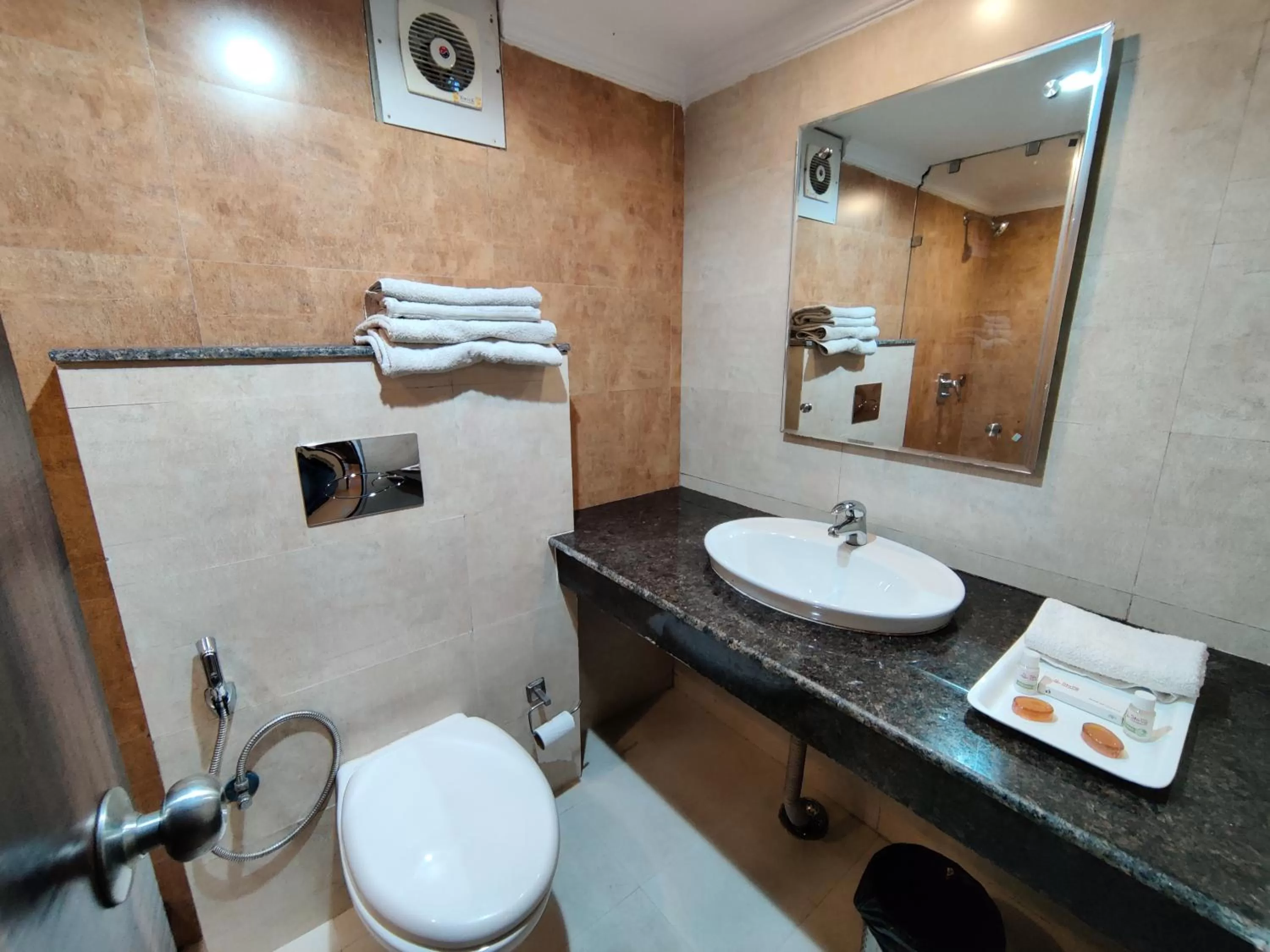 Bathroom in Hotel Shiva Continental