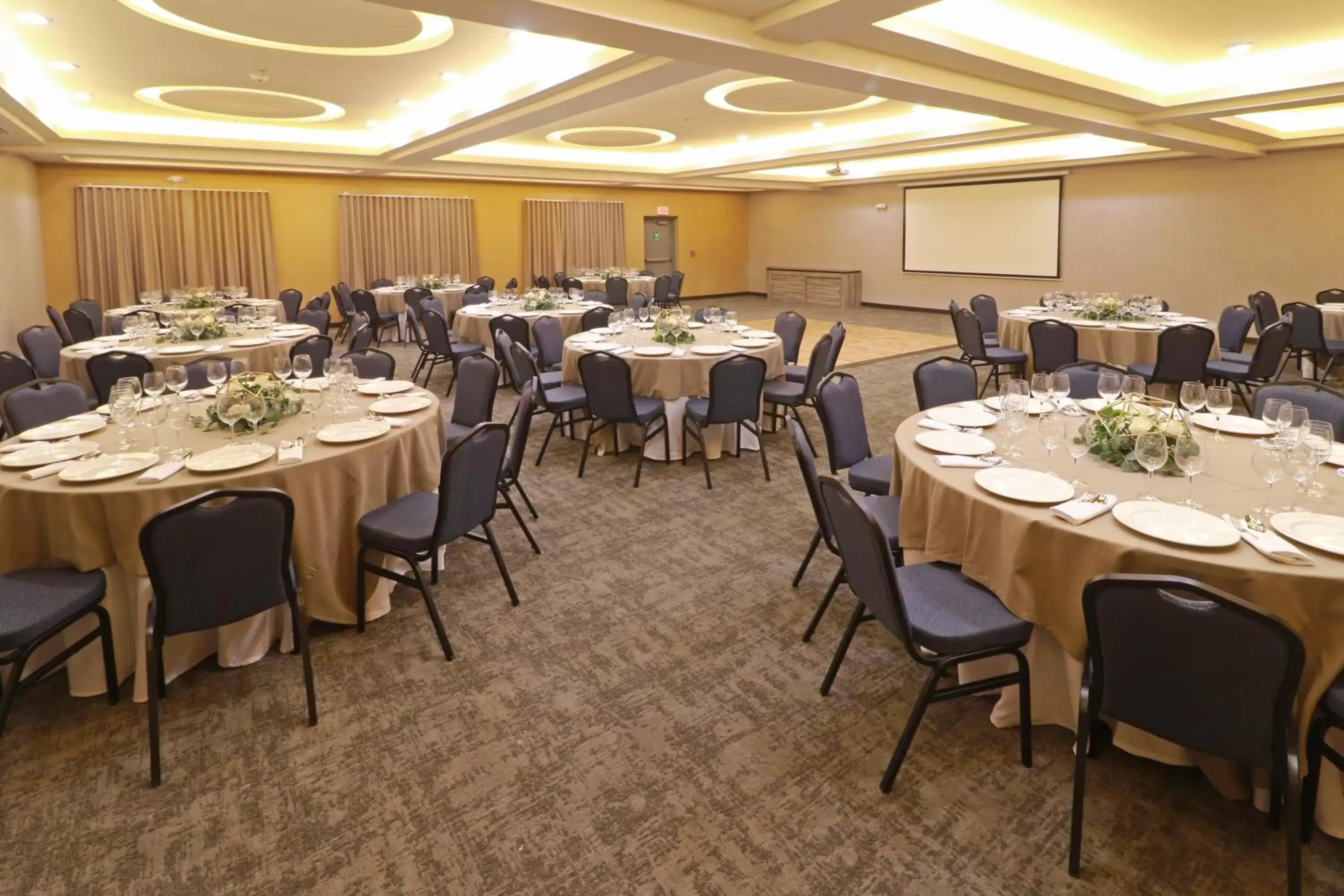 Meeting/conference room in Holiday Inn - Ciudad Juarez, an IHG Hotel