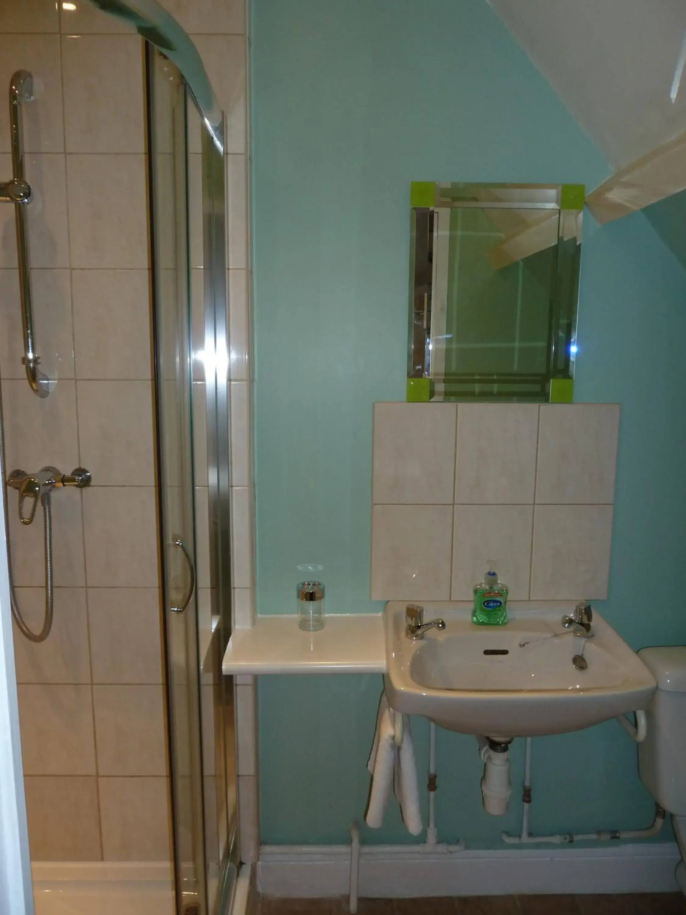Bathroom in Tregonholme Hotel