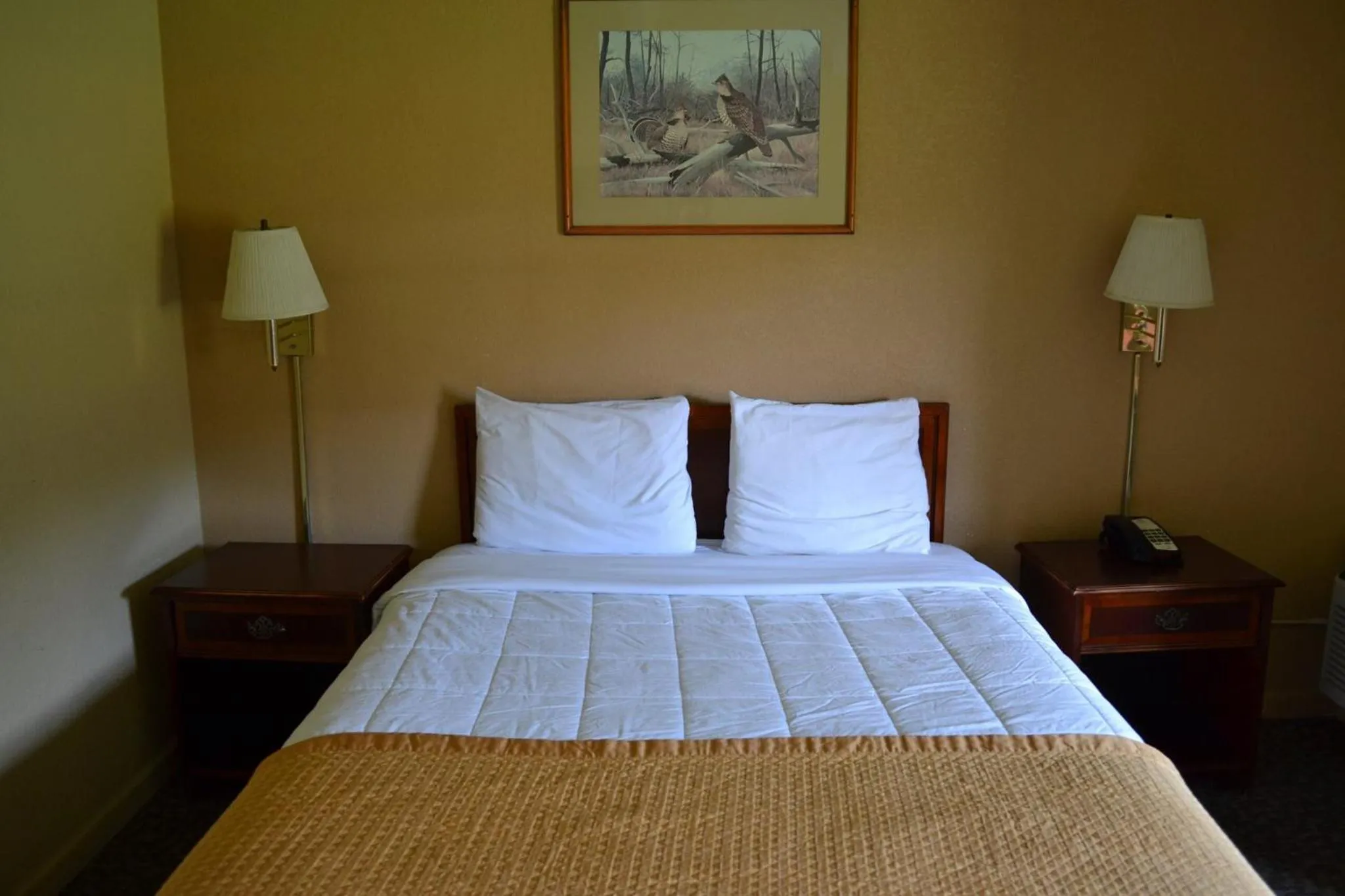 Property building, Bed in Americas Best Value Inn Smithfield