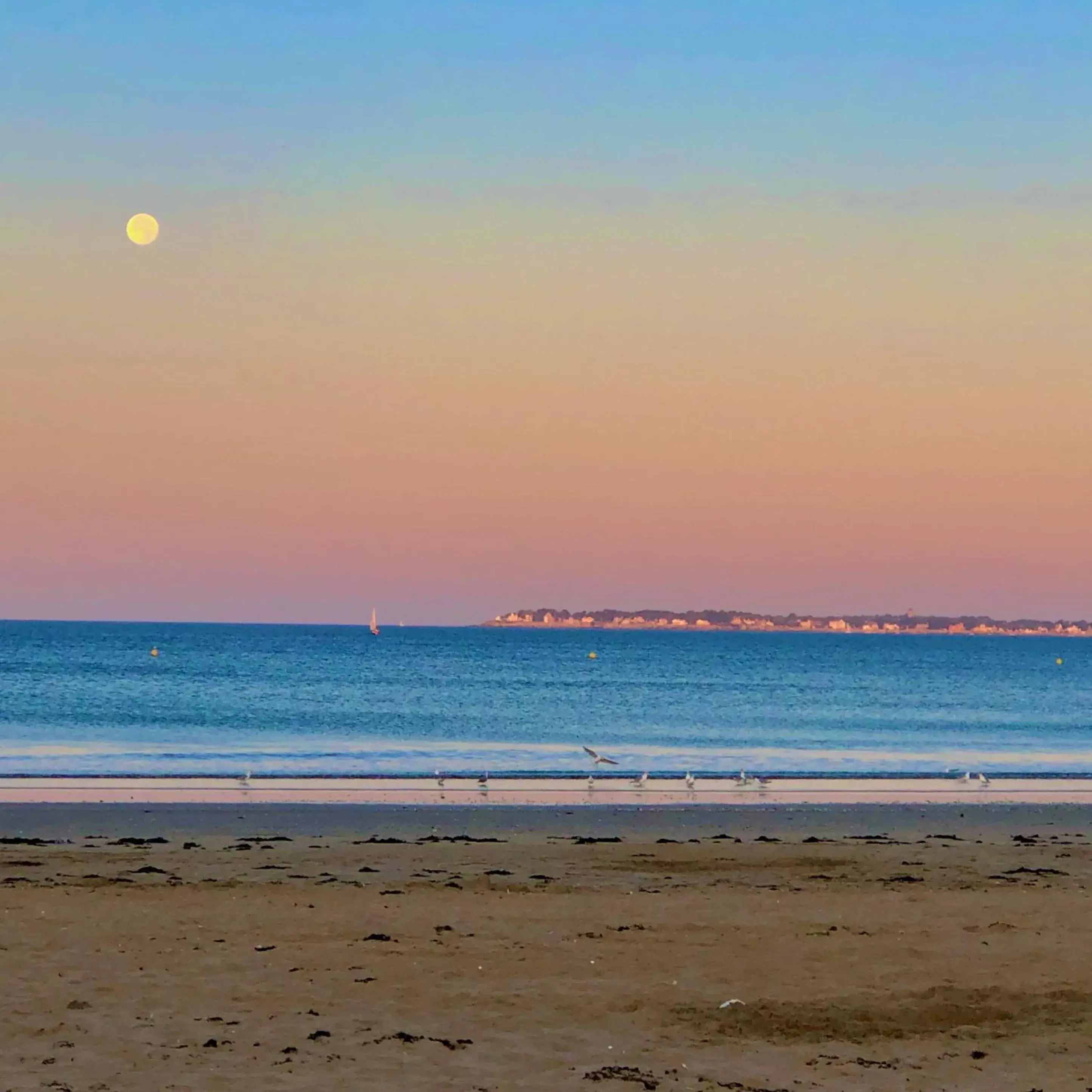 Beach in Hôtel Villa Flornoy Pornichet Baie de la Baule