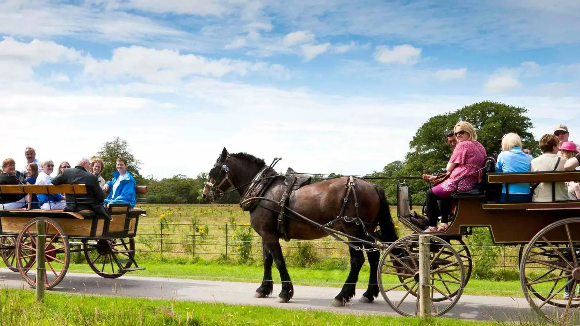 Nearby landmark, Horseback Riding in Muckross Park Hotel & Spa