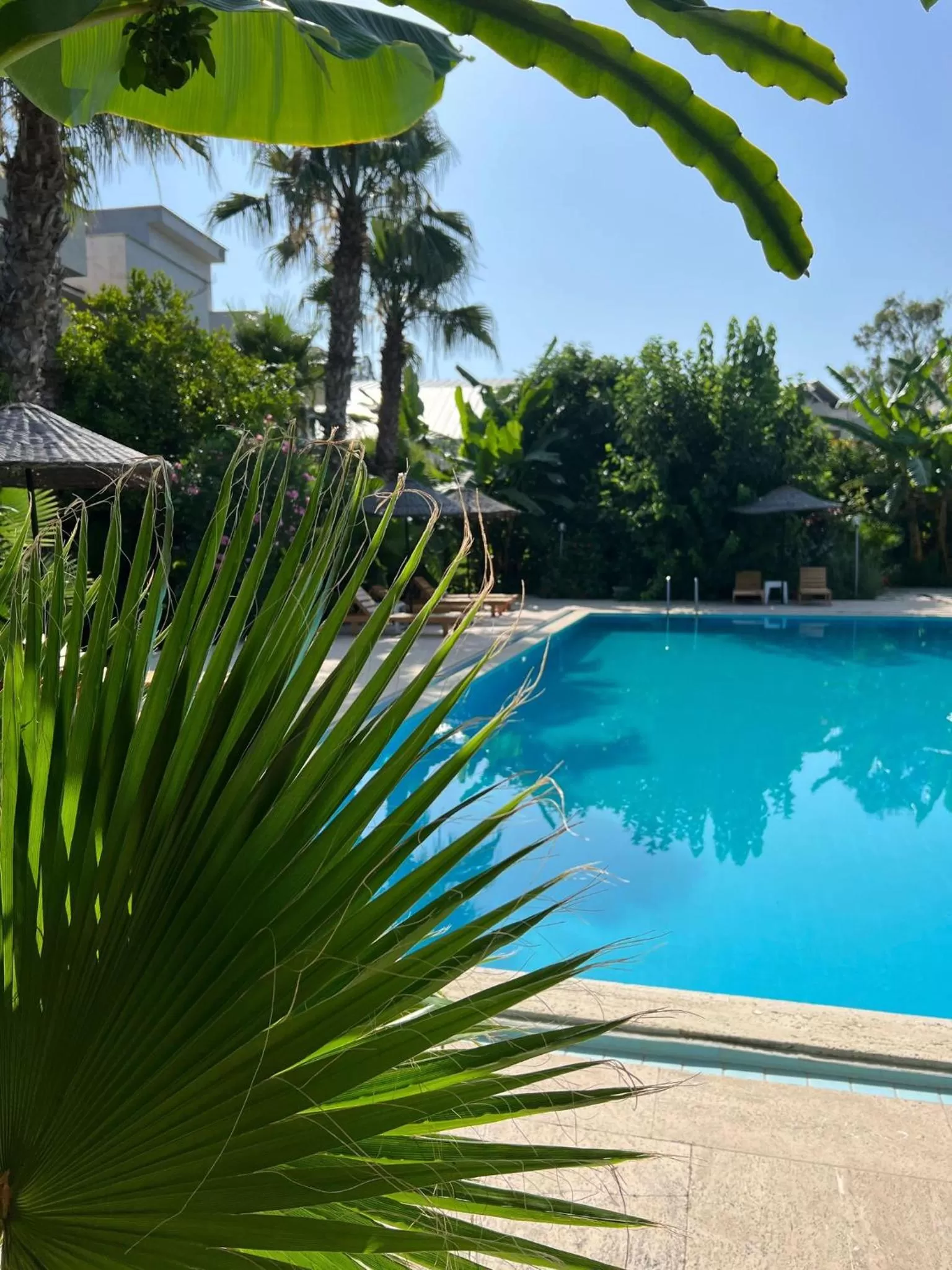 Swimming Pool in Kiriş Garden Hotel