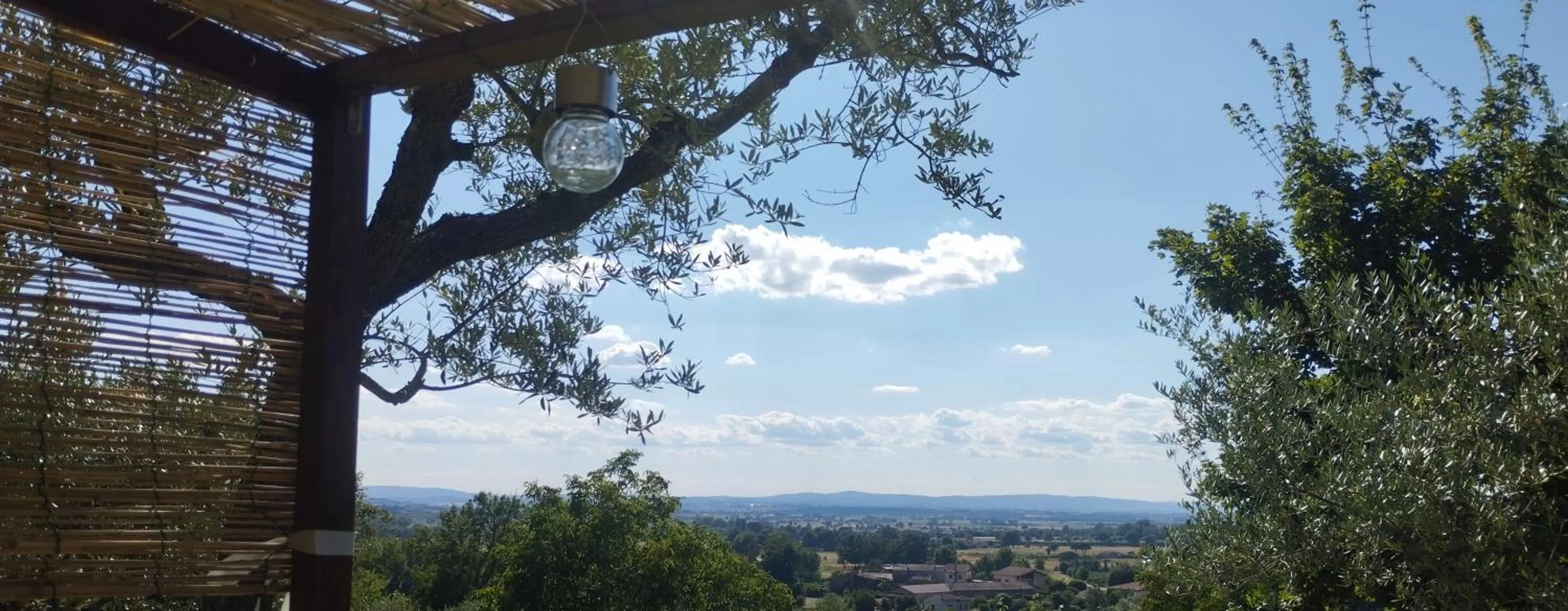 Day in La Casa tra Gli Ulivi Cottage House