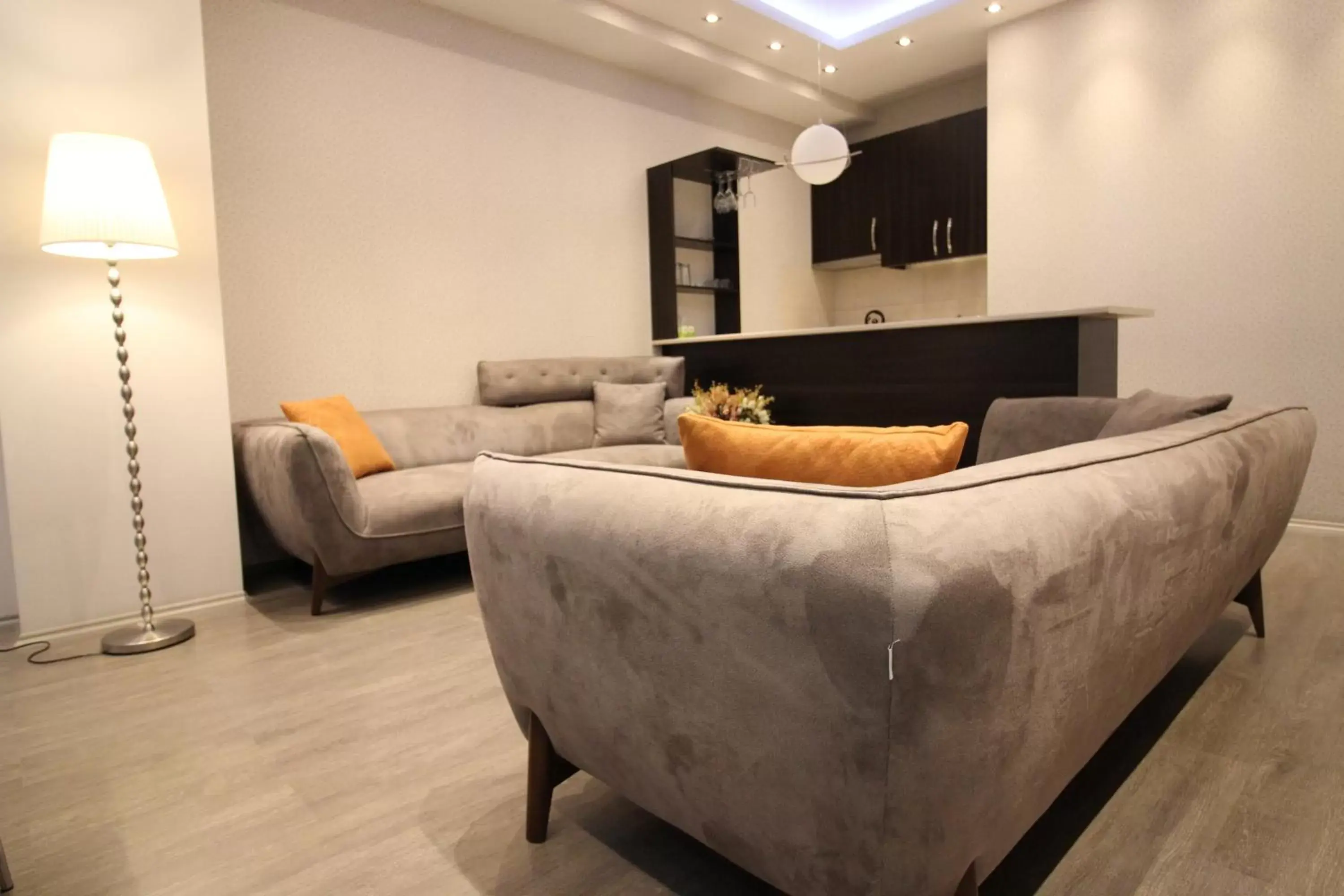 Seating Area in Super Luxury Apartments