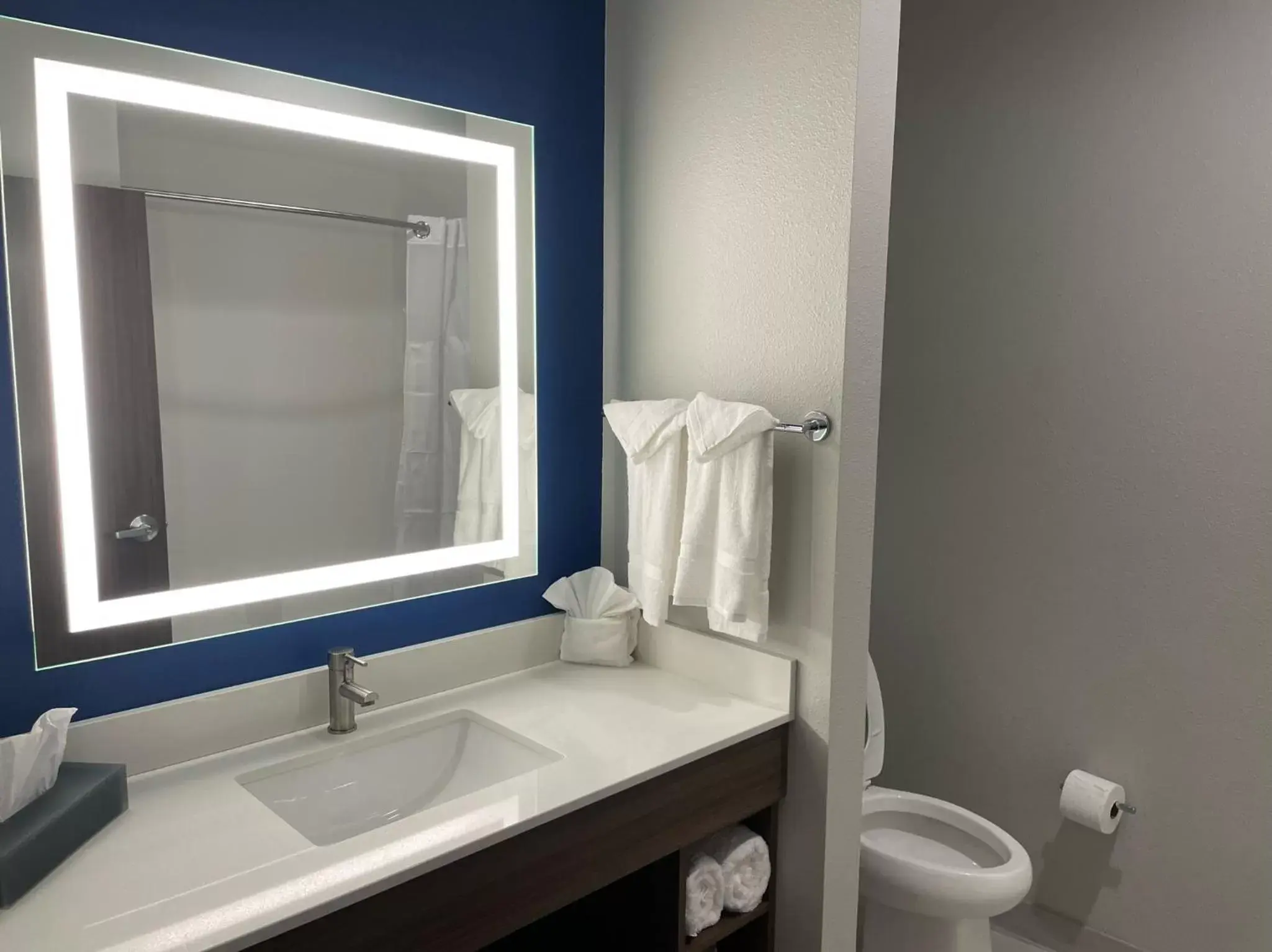 Bathroom in La Quinta Inn & Suites by Wyndham Valdosta