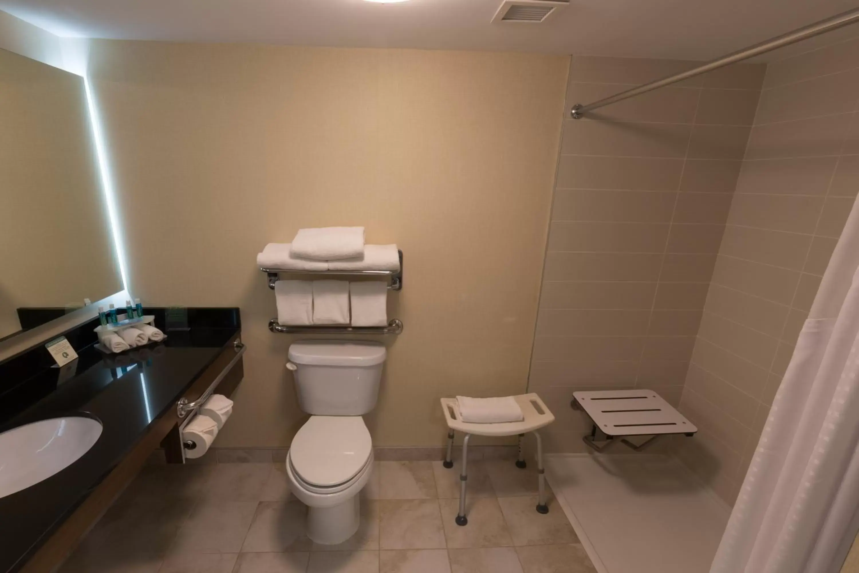 Photo of the whole room, Bathroom in Holiday Inn Express Edmonton Downtown, an IHG Hotel