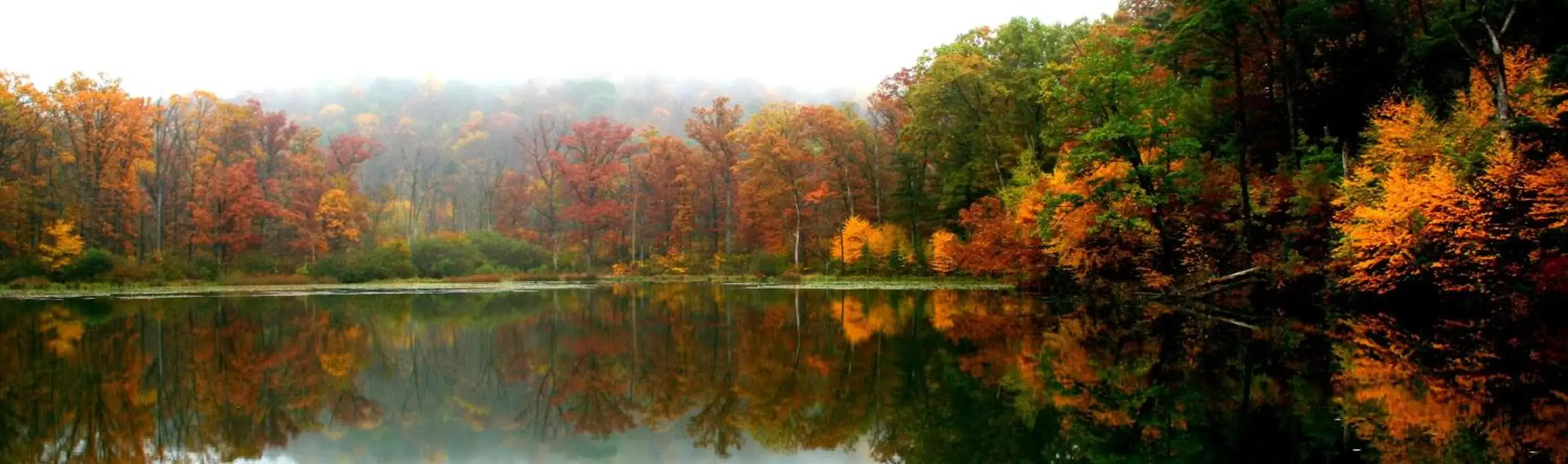 Property building, Natural Landscape in Omni Bedford Springs Resort